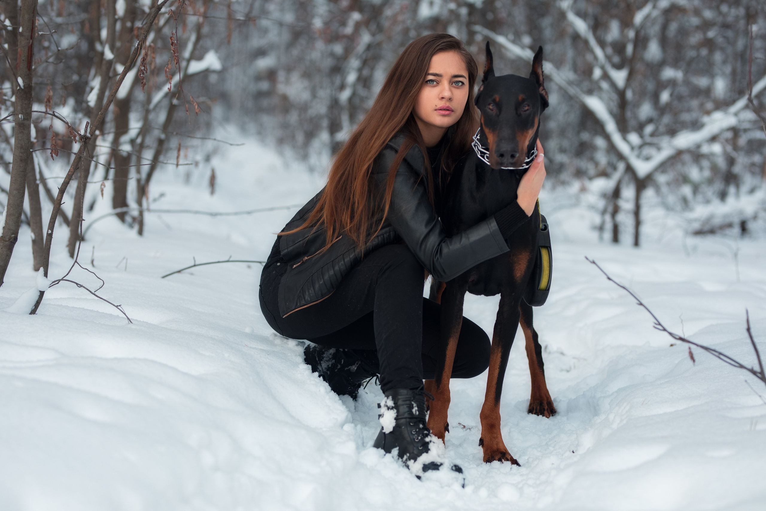 Зимняя съемка в лесу с доберманом с Ольгой в формате для «себя»