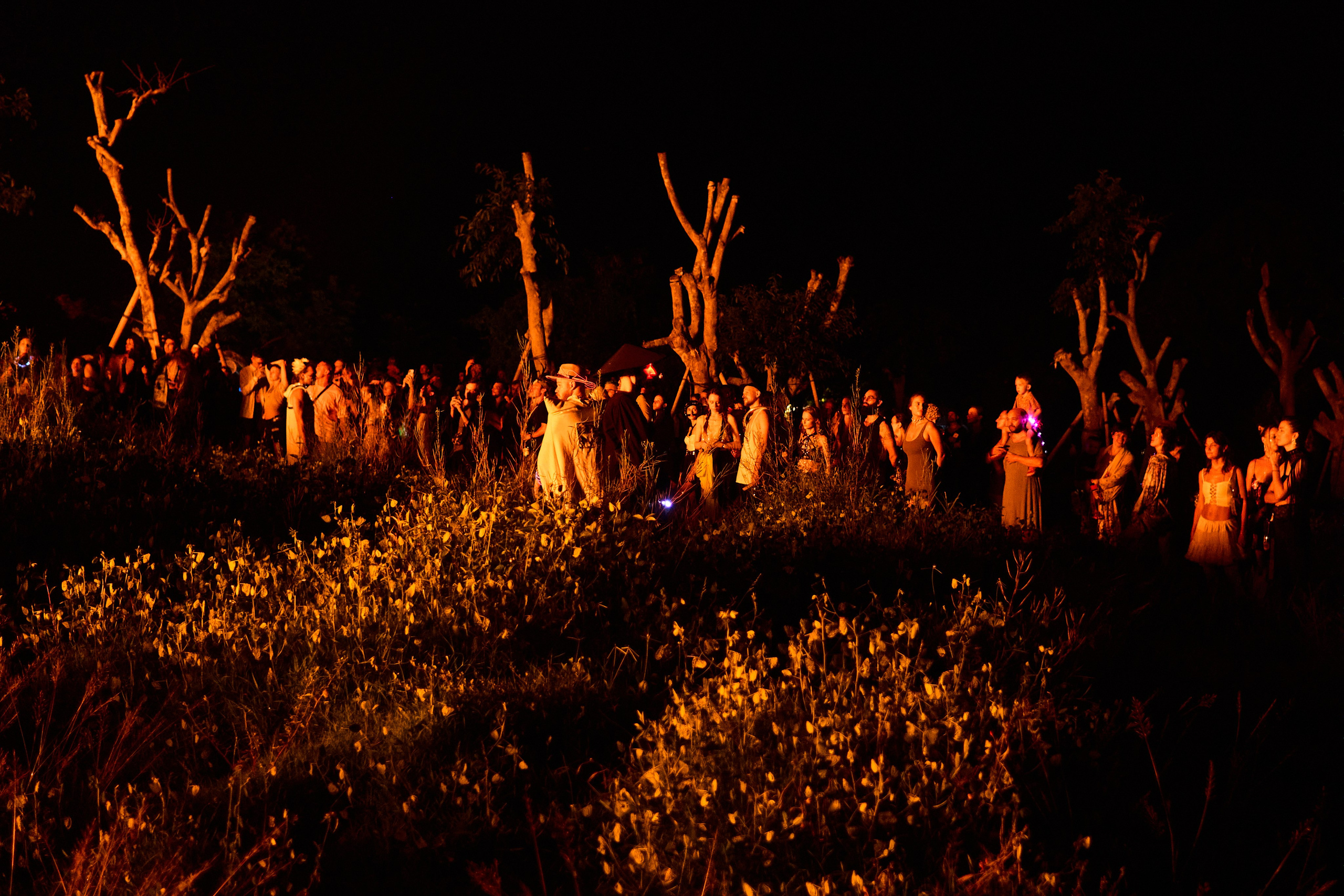 Lampu2024. See the moment and catche. commercial and reportage