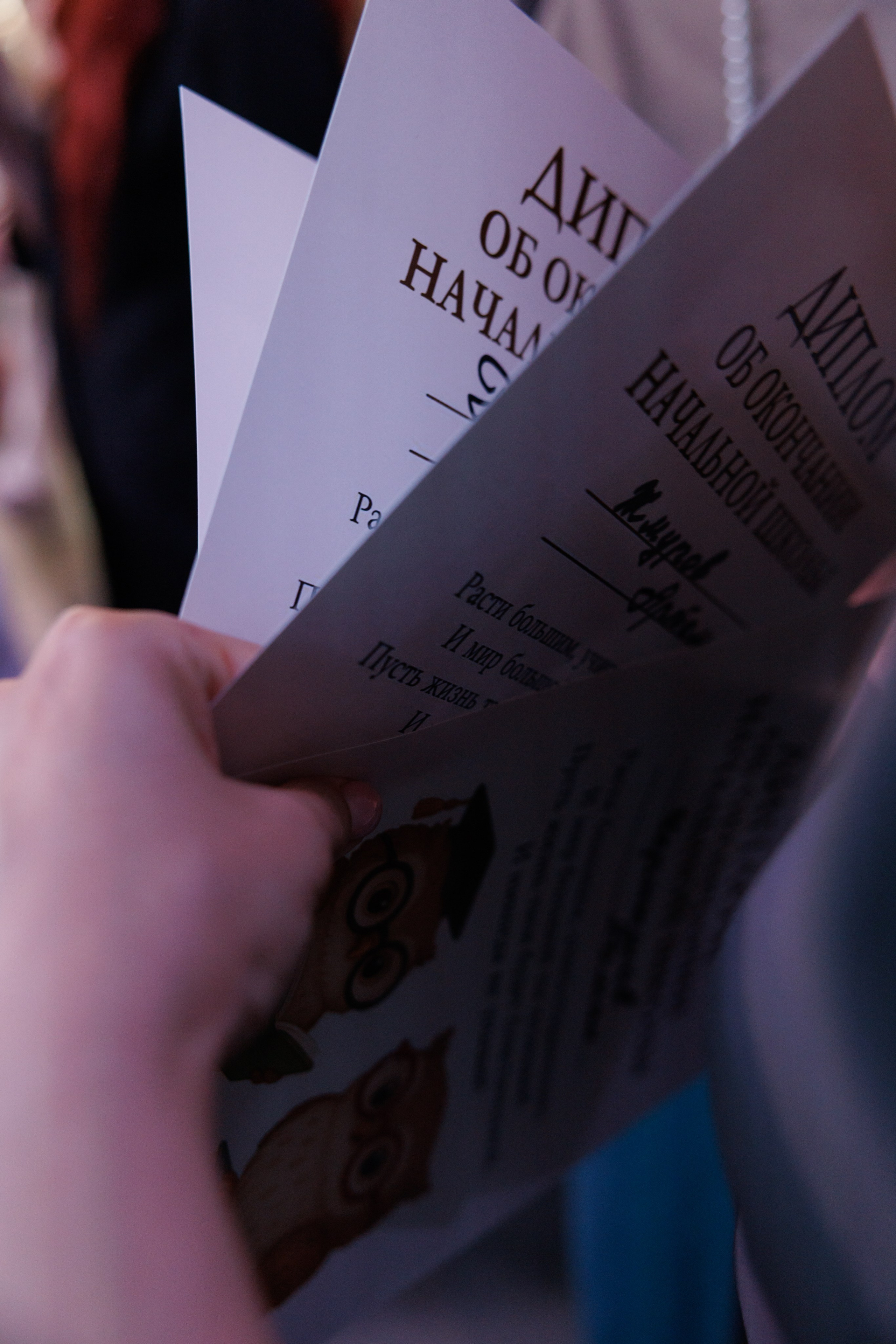 Выпускные Шамони. Фотограф в Красноярске Евдокимова Анастасия