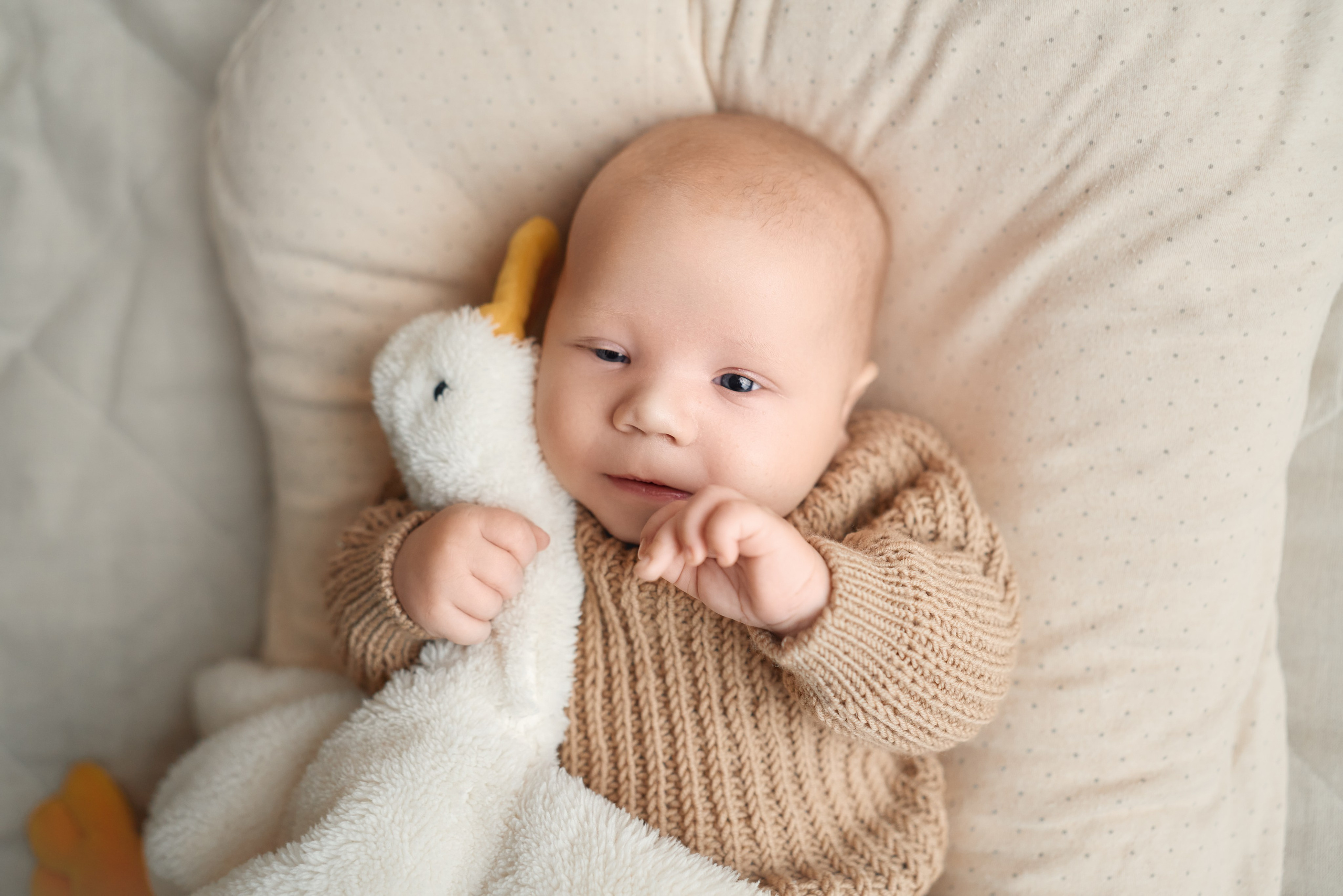 Владимир. Фотограф новорожденных во Владивостоке Ромашко Виктория