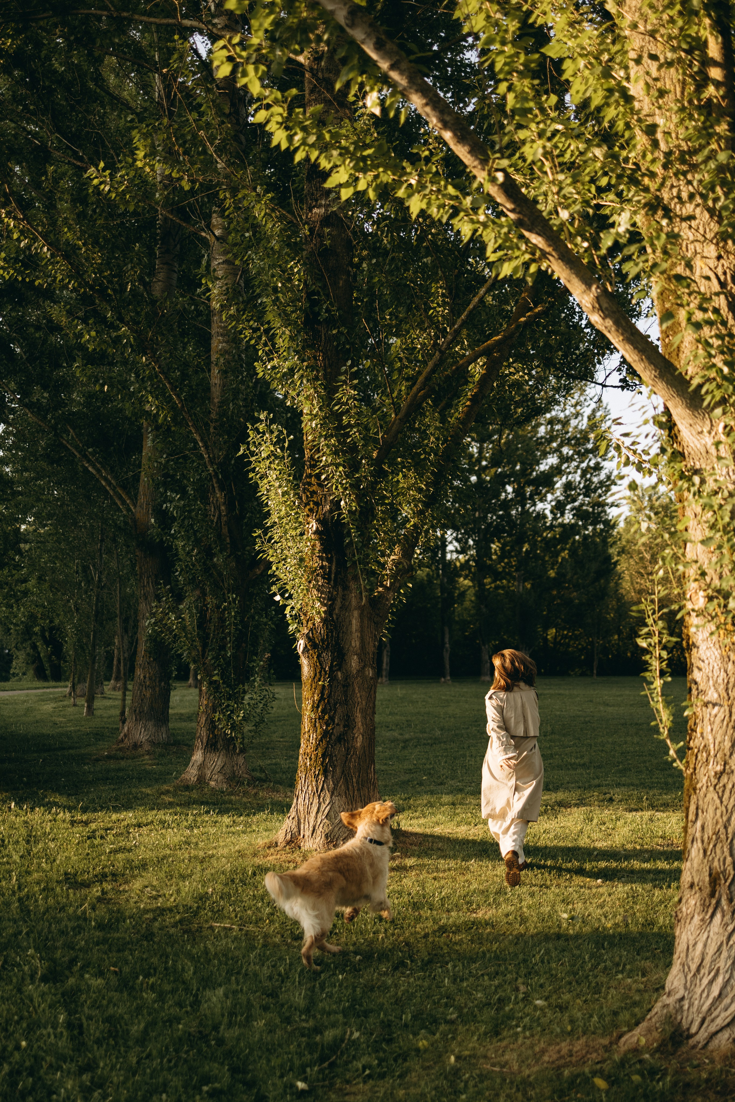 Пенни и ребята. Фотограф — Анималист | Санкт-Петербург