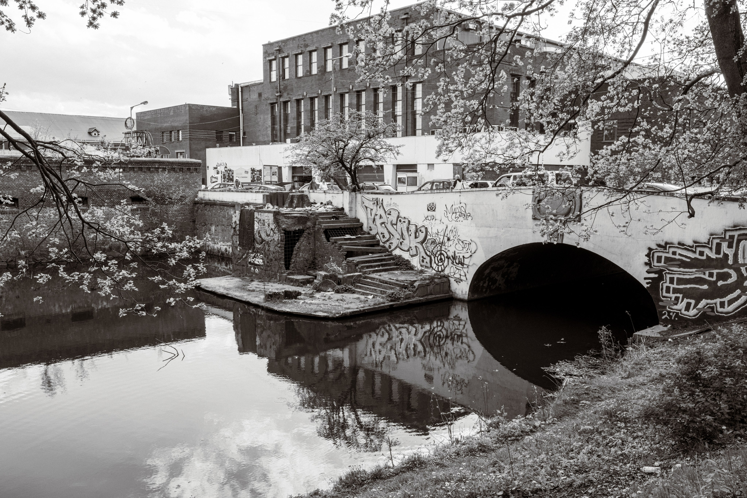 Калининград. Видение Константина Борунова