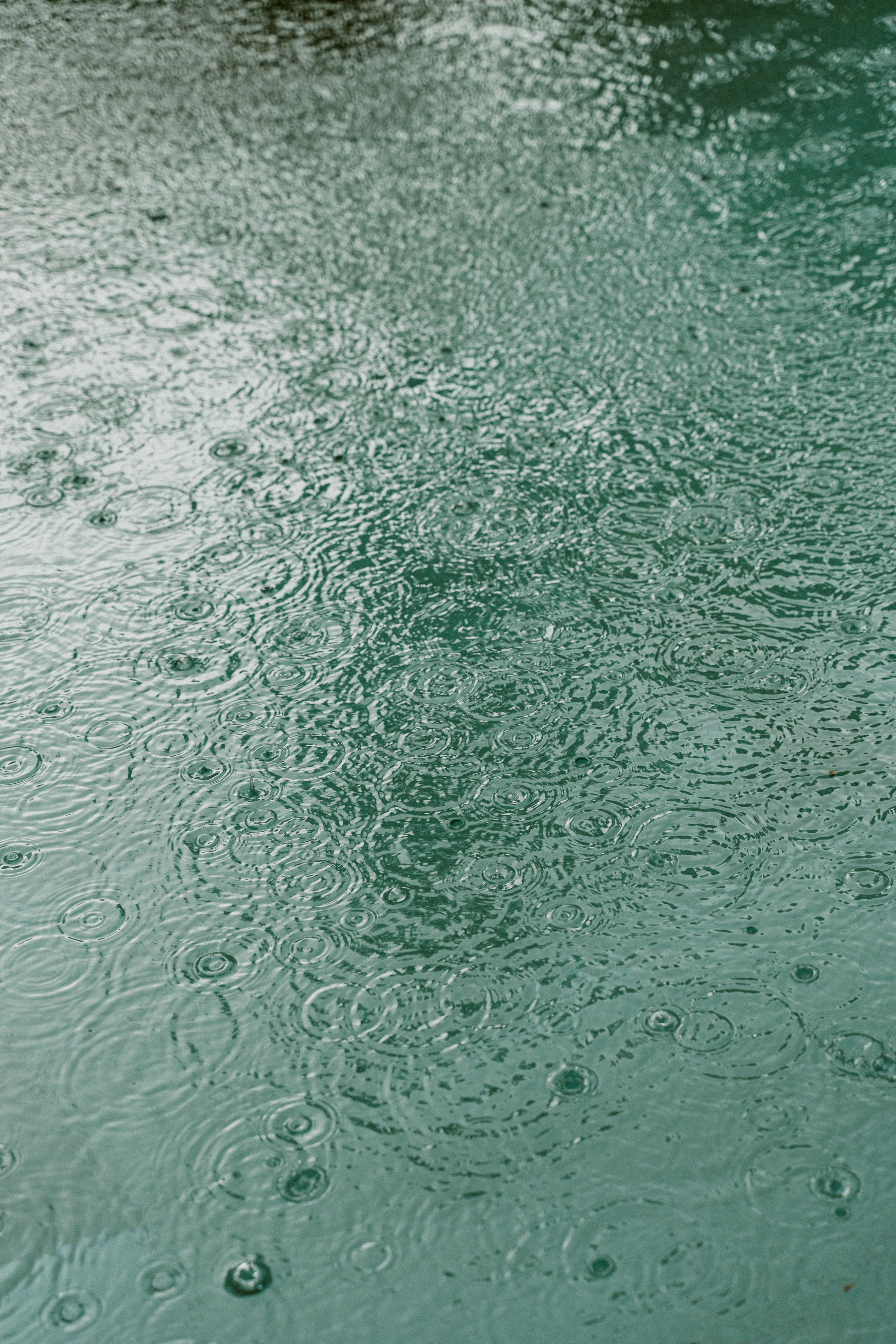 Ksusha. Фотограф в Санкт-Петербурге Диана Цой