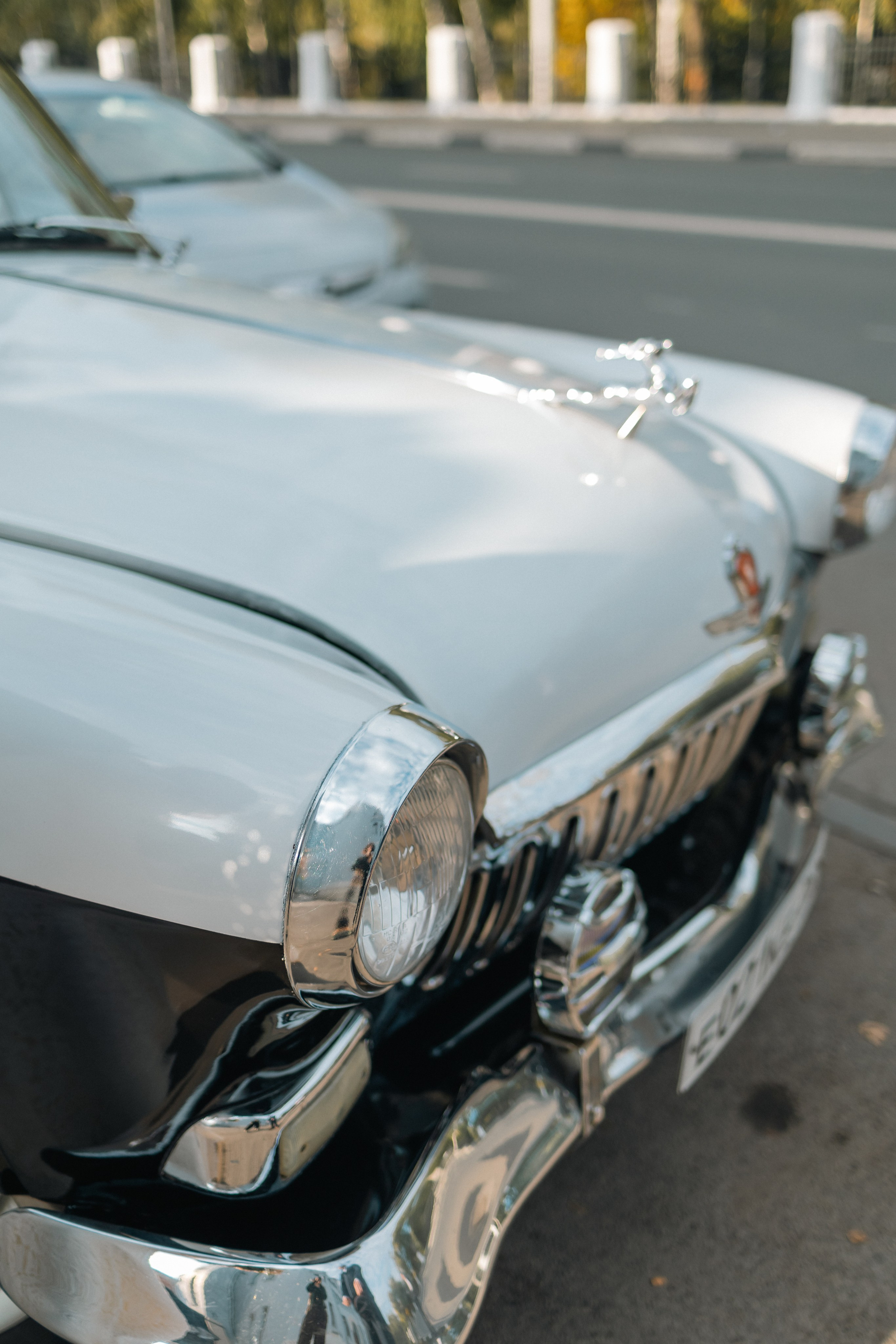 Семейный и свадебный фотограф в Самаре Анастасия Воропаева