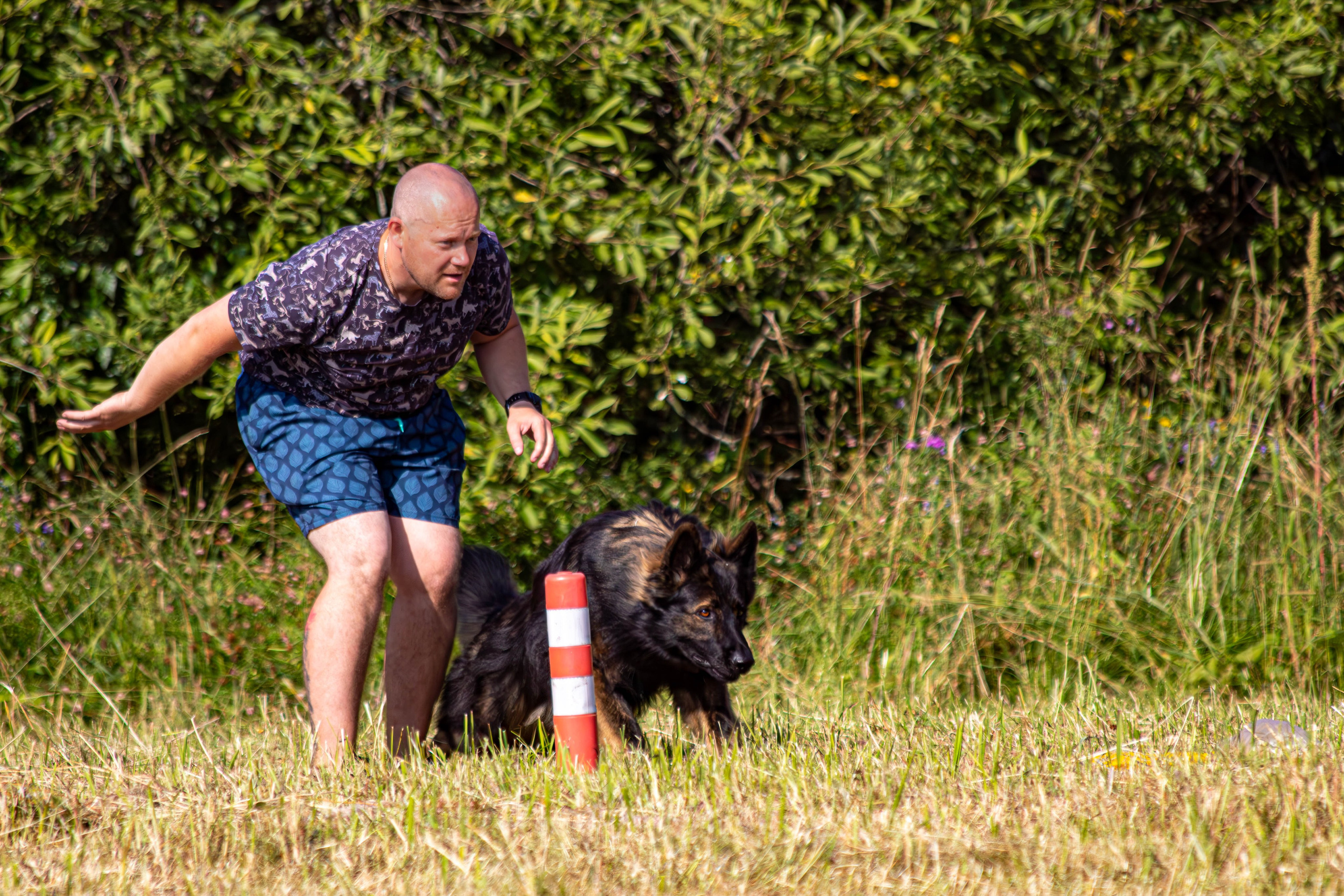 Курсинг. Фотограф анималист — Тула, Москва