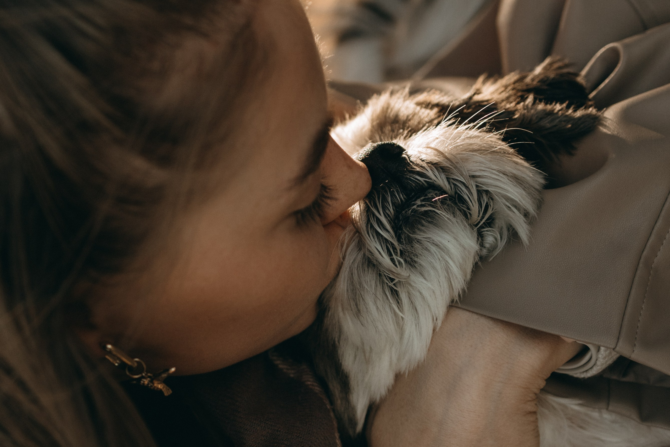 Настя и Франт. Фотограф — Анималист | Санкт-Петербург