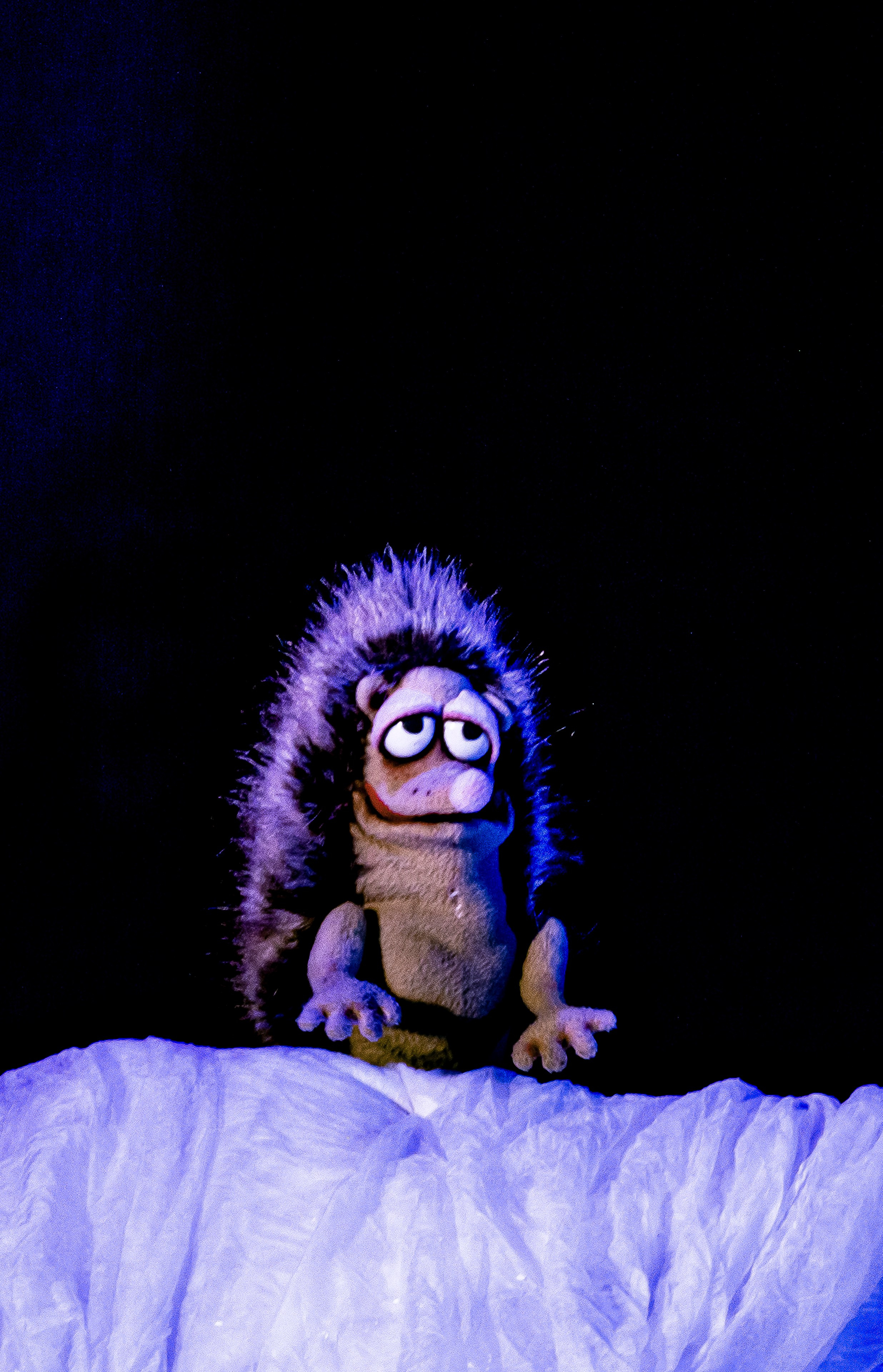 Спектакль Снежные человечки — театр Саквояж. Фотограф в Сочи Юрий Шептаев