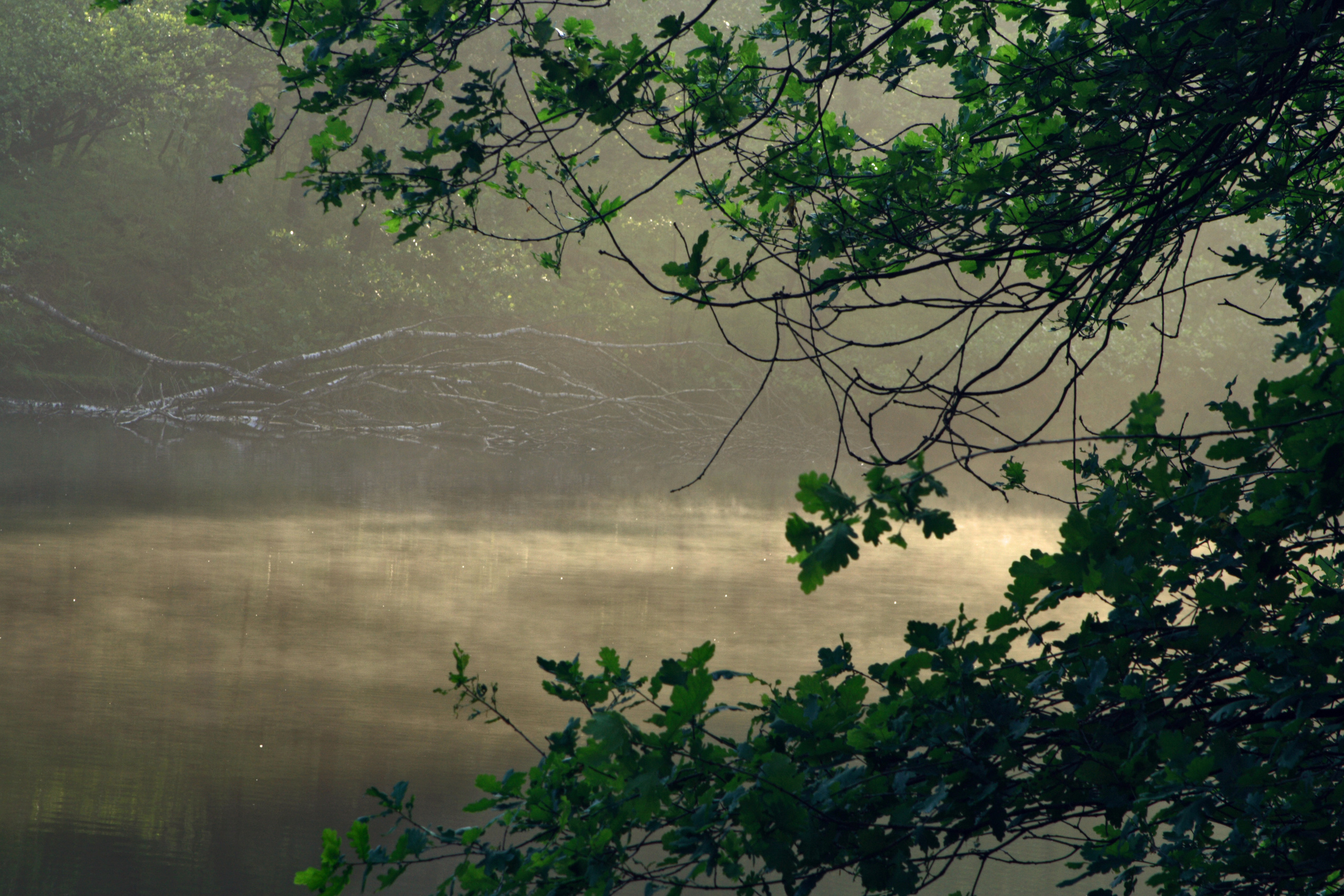 Пейзаж, природа. Портретный фотограф Станислав Жуков | Москва