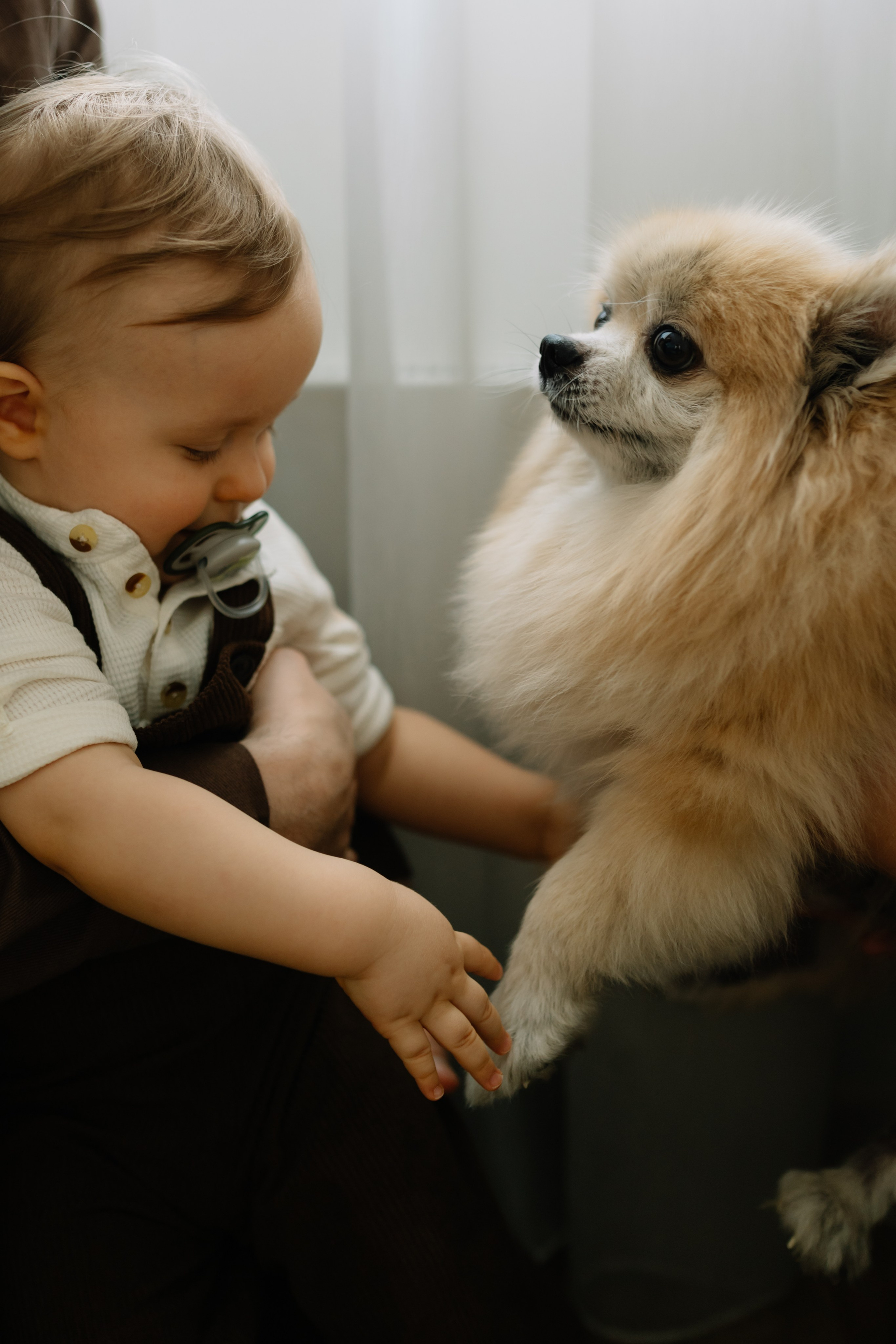Домашняя съемка с годовасиком в Москве. Семейный фотограф в Москве и Люберцах Юлия Гуськова