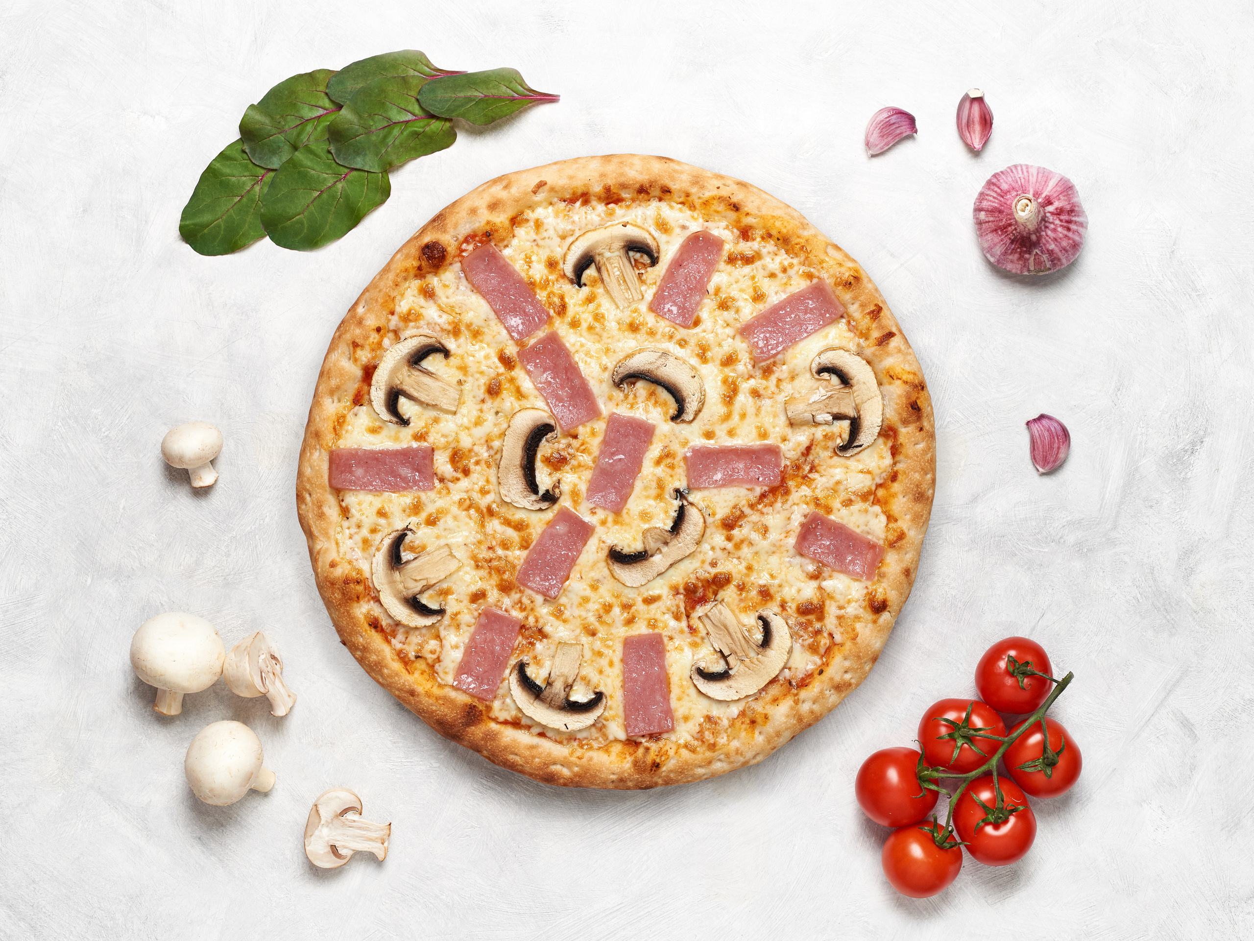 Меню для кафе WOWpizza. Фотограф в Москве