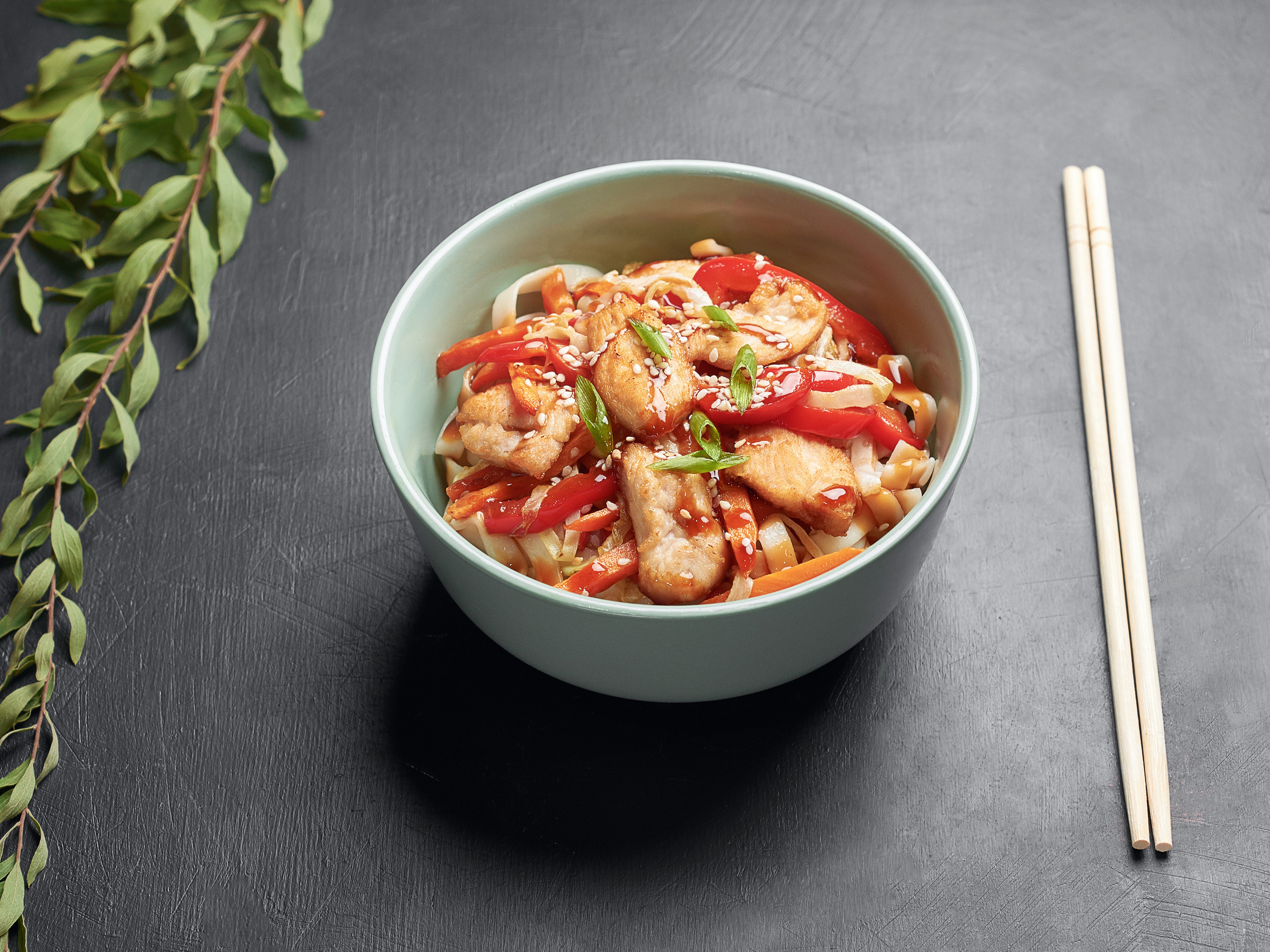 Меню для кафе WOWpizza. Фотограф в Москве