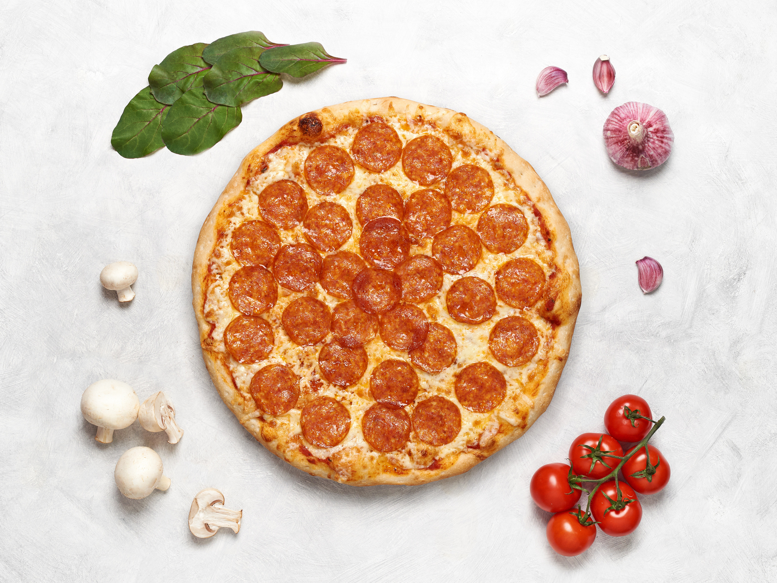 Меню для кафе WOWpizza. Фотограф в Москве