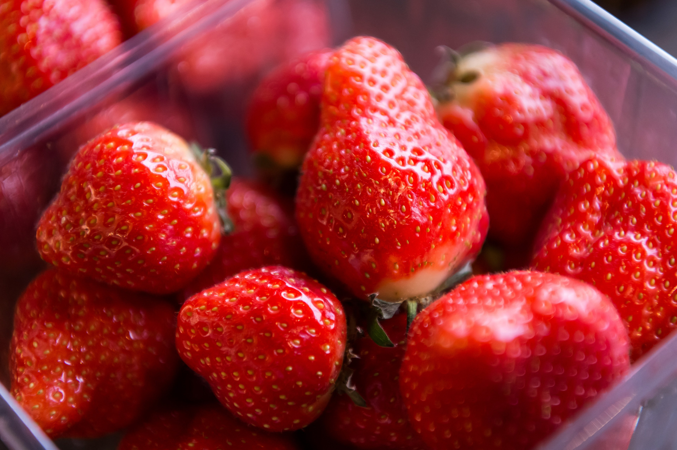 BORK. 2017. Дима Бабушкин. Фотограф. Подиум. Репортаж. Творчество. Дорого