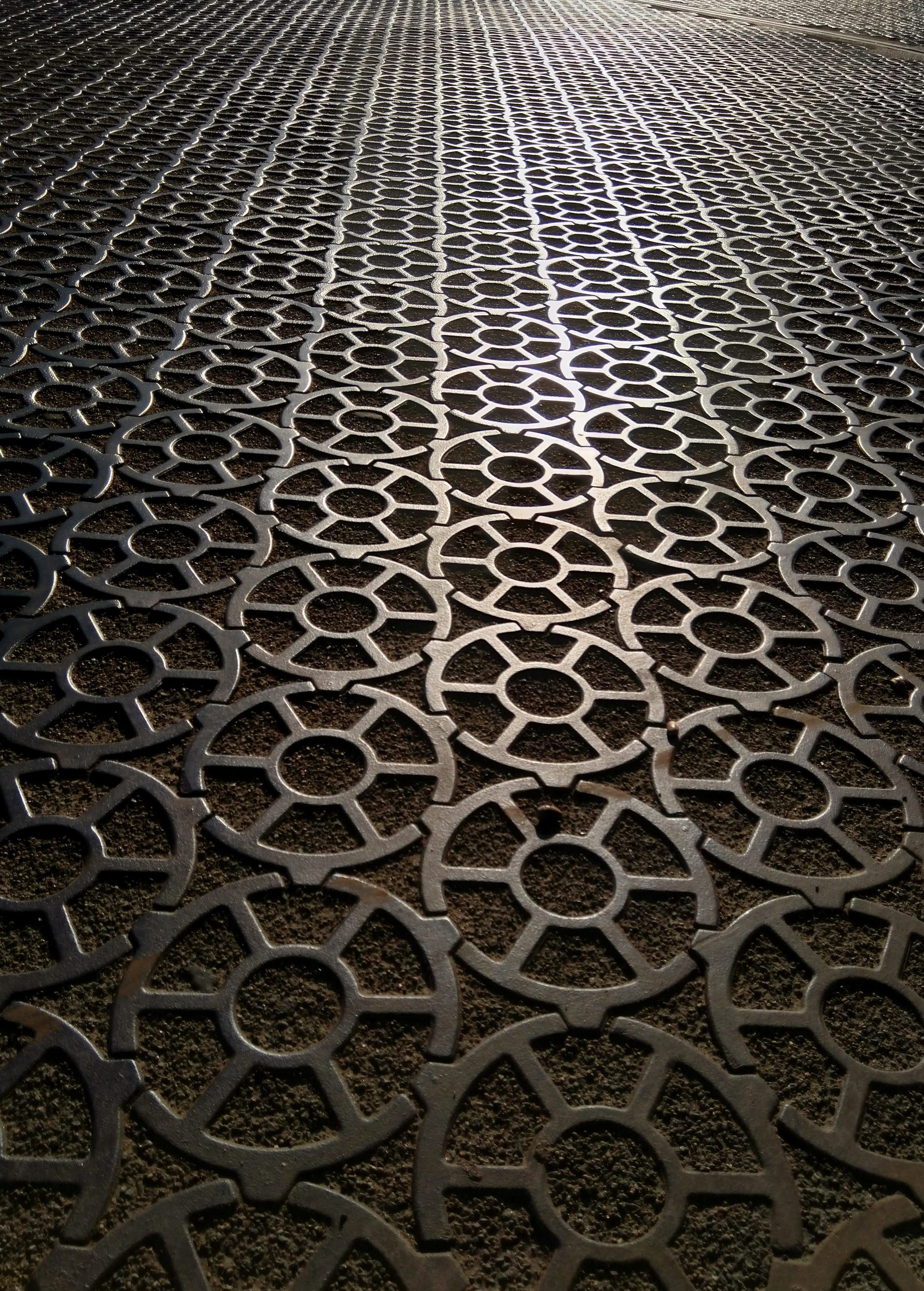 Кронштадт. Надежда Козлова, фотограф, Санкт — Петербург