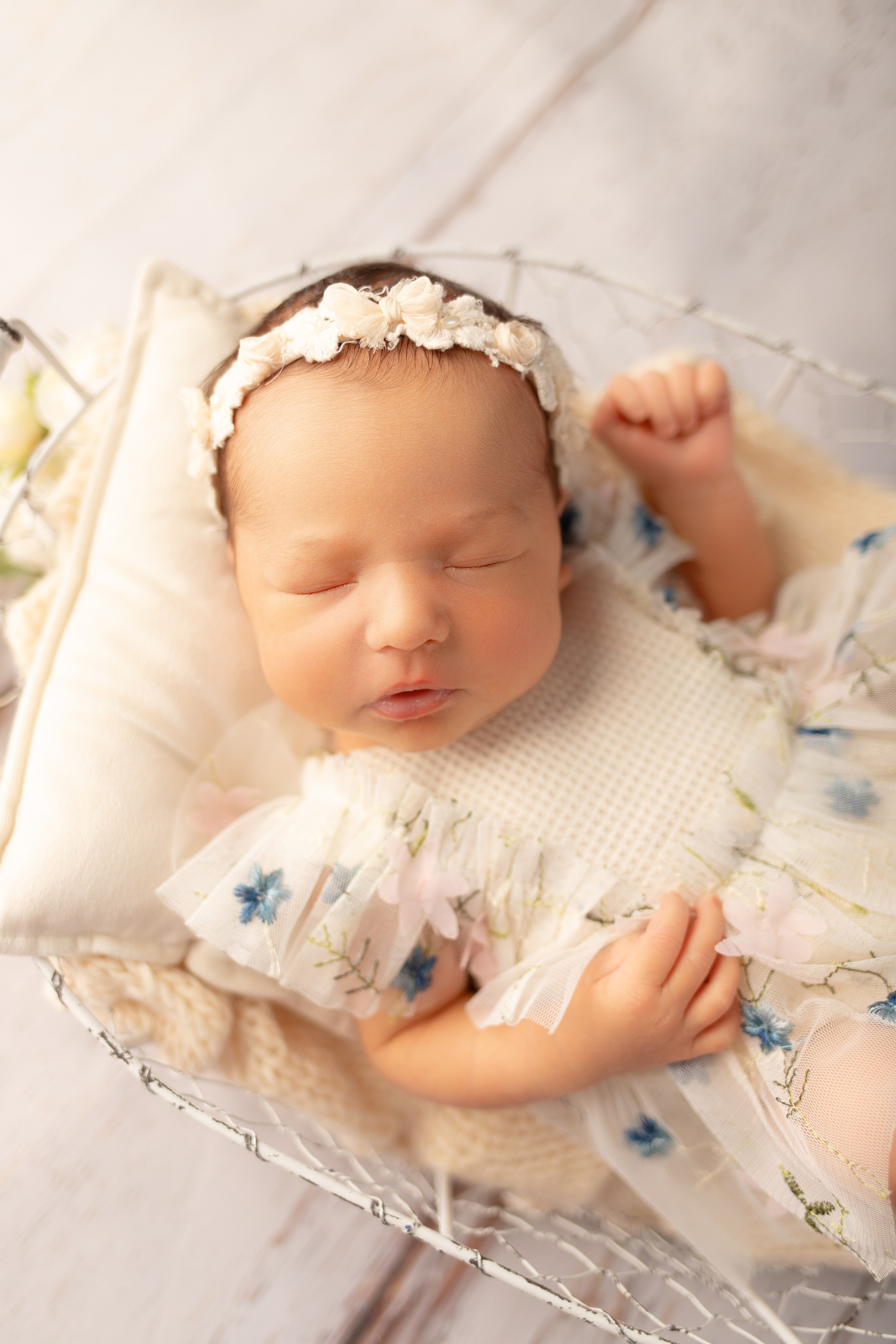 Каталог. Фотограф новорождённых Волгоград Волжский Дарья Рыскаль