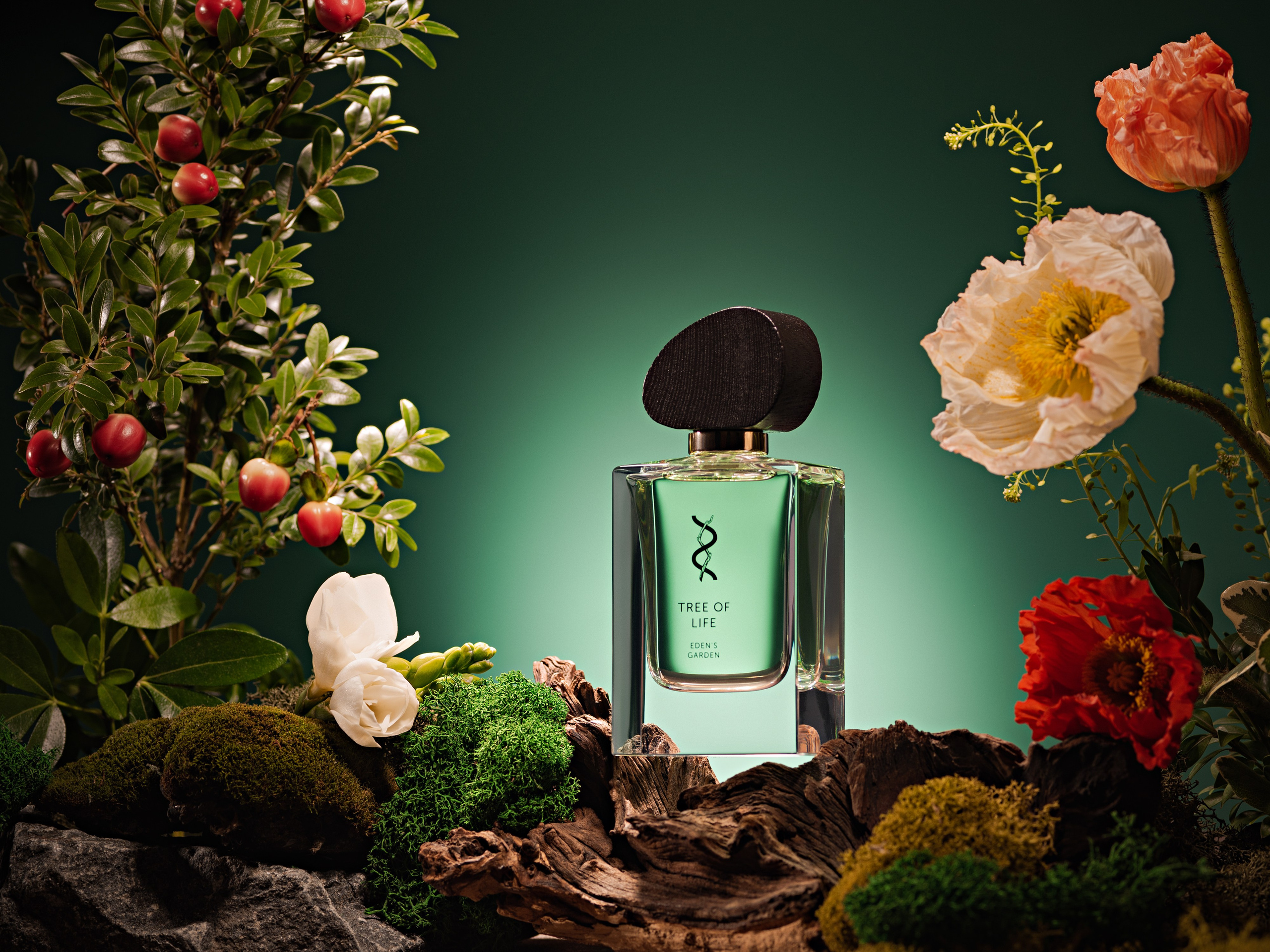 BROCARD GROUP. Асель Рембекова