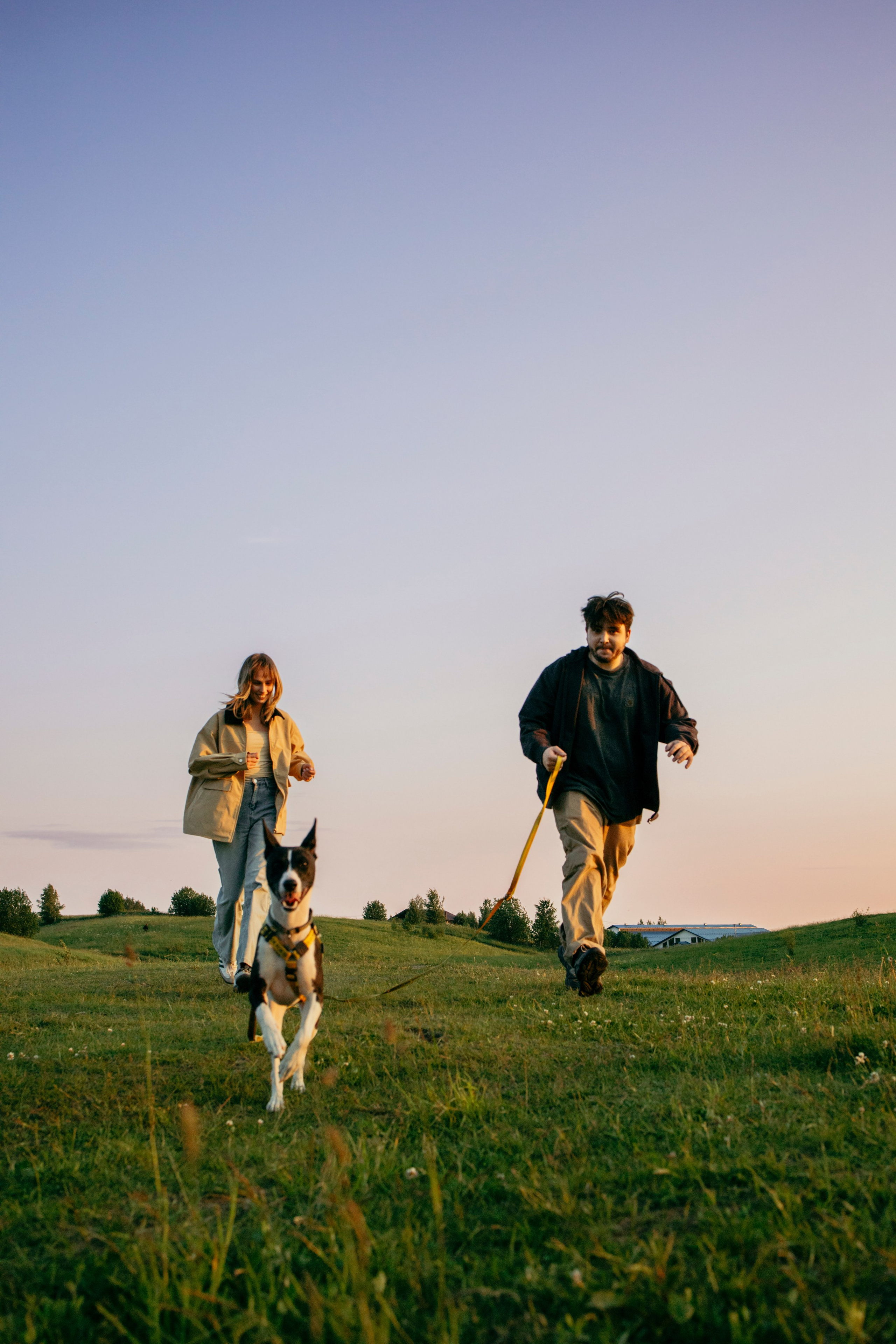 Итачи и его семья 🐾. Фотограф-анималист в Санкт-Петеребурге Титова Алиса