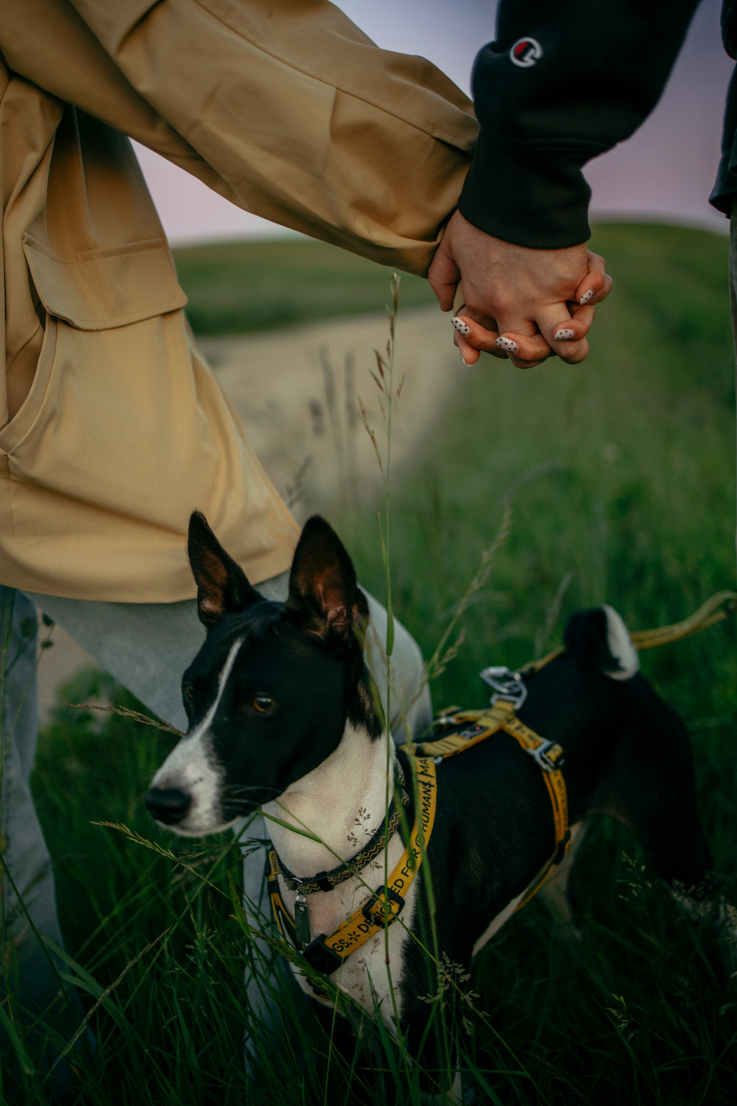 Итачи и его семья 🐾. Фотограф-анималист в Санкт-Петеребурге Титова Алиса