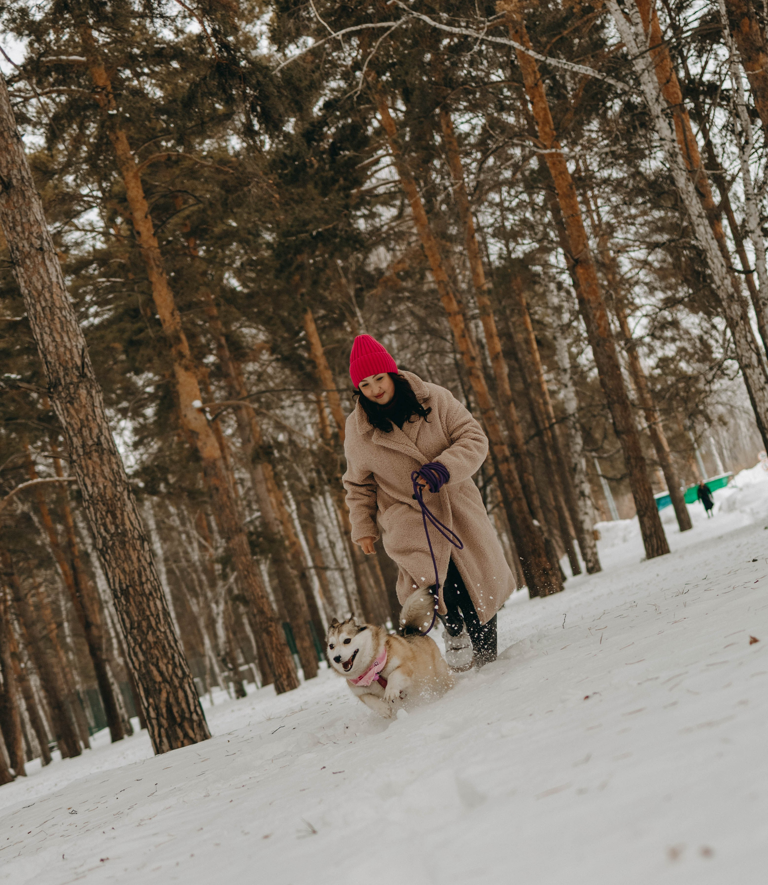 Варвара и Шелби. Фотограф-анималист в Екатеринбурге | Кристина