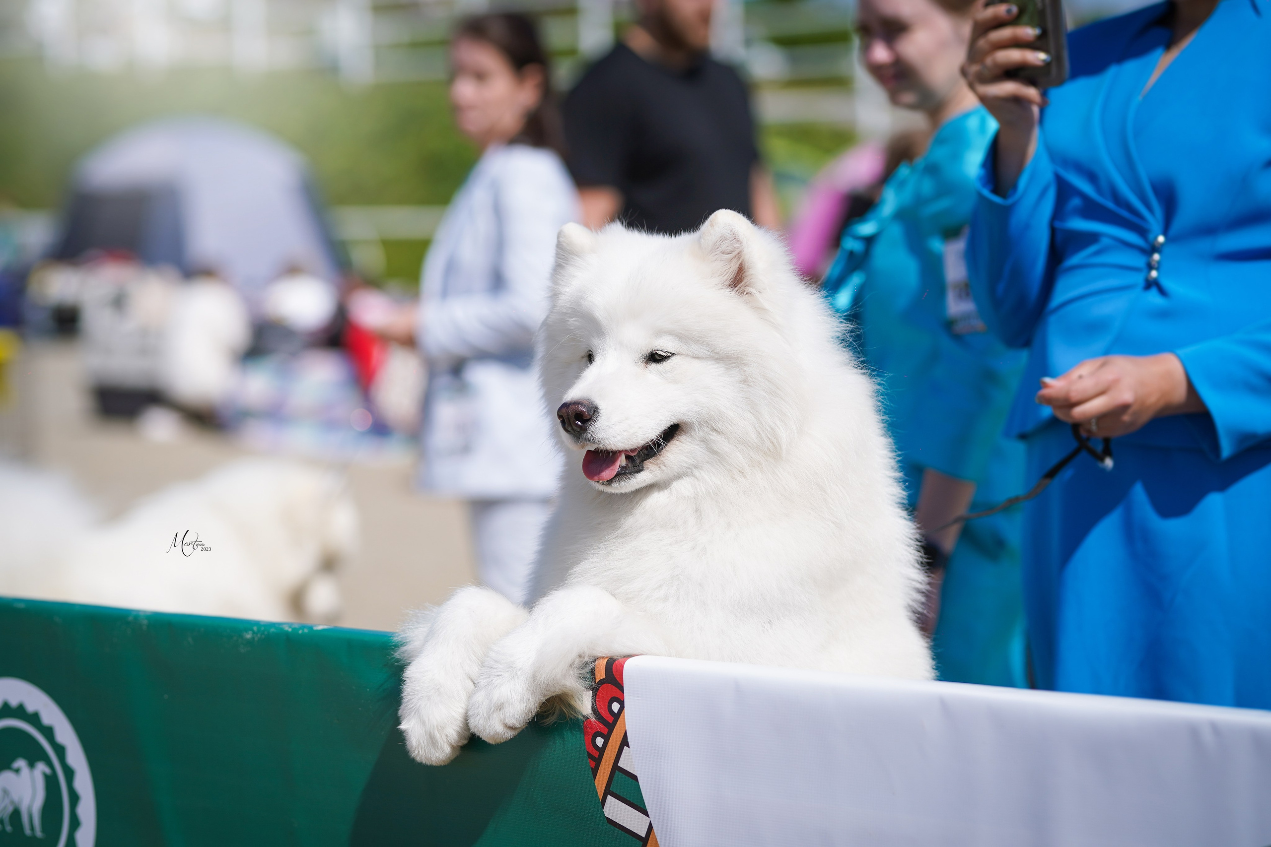 Выставки 2023. Фотограф-анималист в Санкт-Петербурге Яна Мартынова