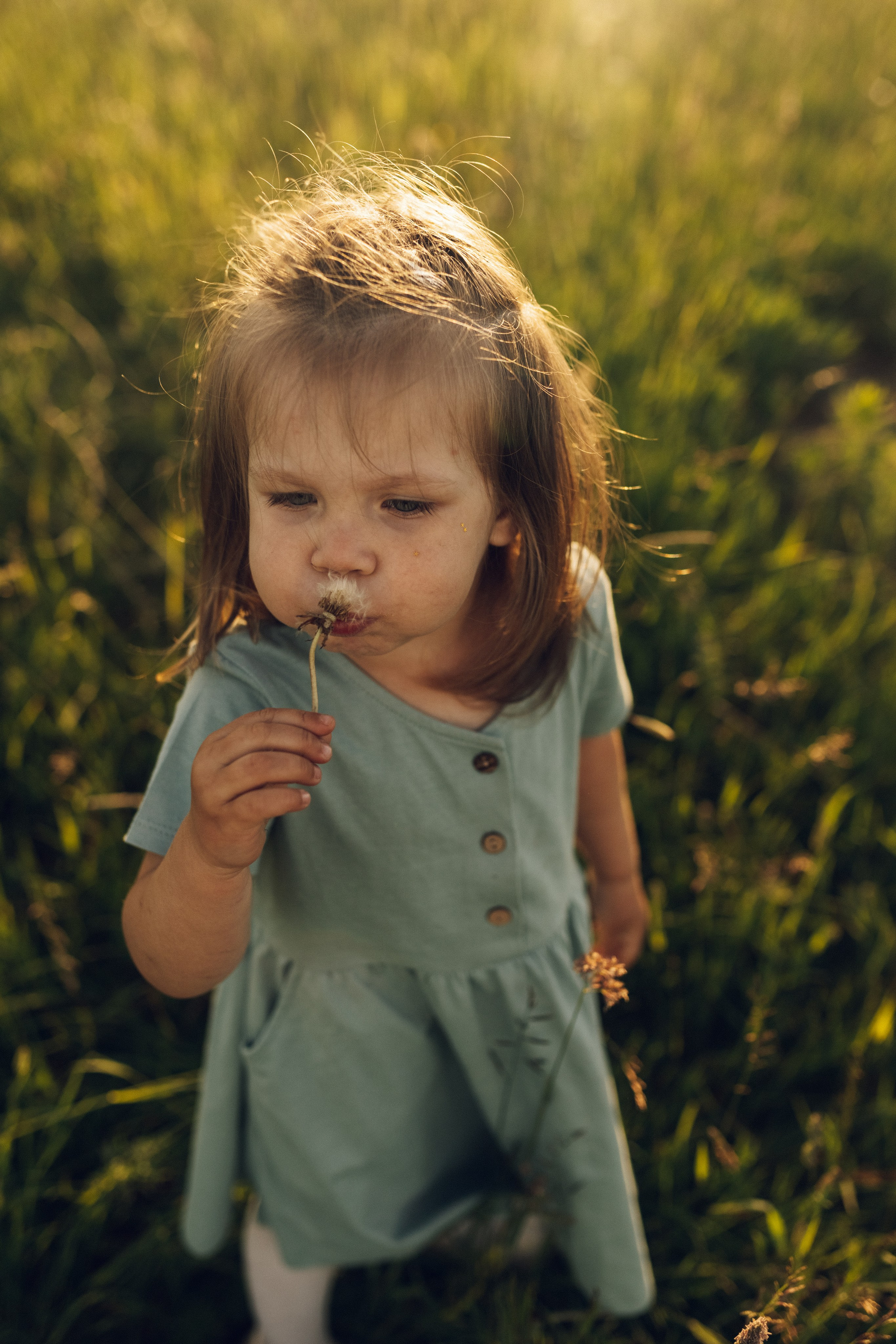 Вверх тормашками. Фотограф из Петербурга
