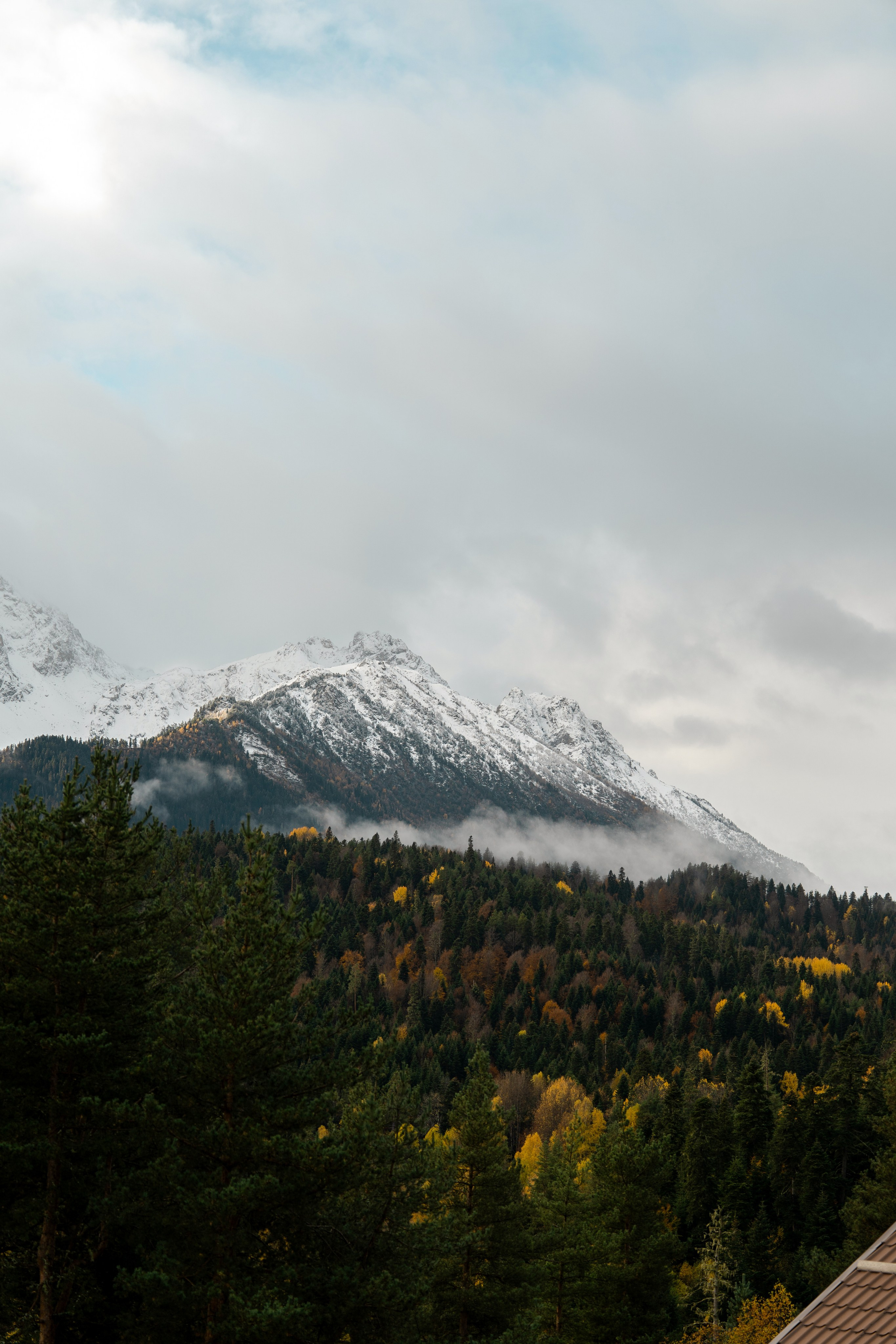 Рахат. Фотограф и видеограф Елена Хмелевская
