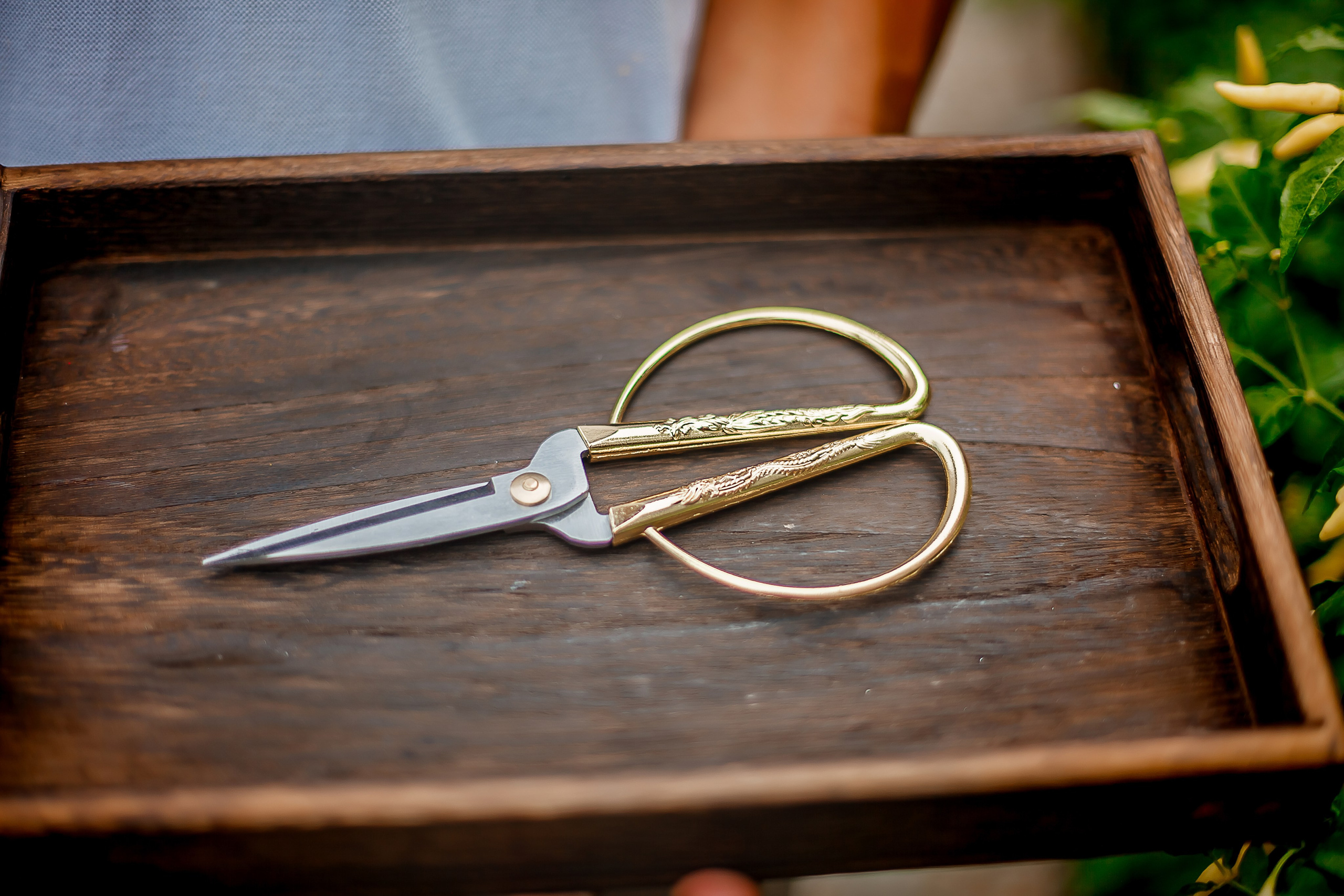 Репортажный фотограф Ялта. Репортажный фотограф Ялта