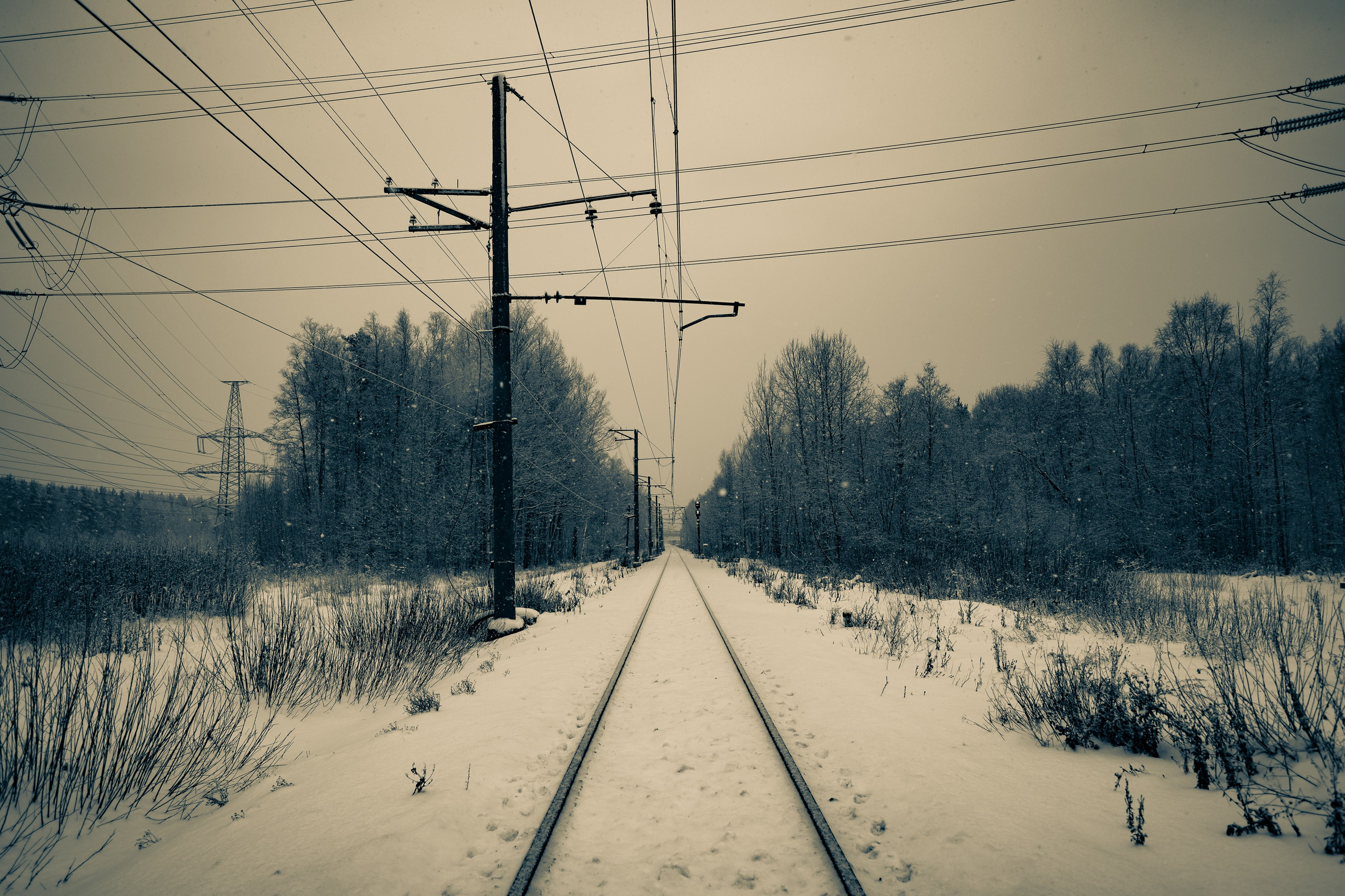 Landscape, nature, plants, details of the world around us. Personal website of photographer Dmitry Raikin