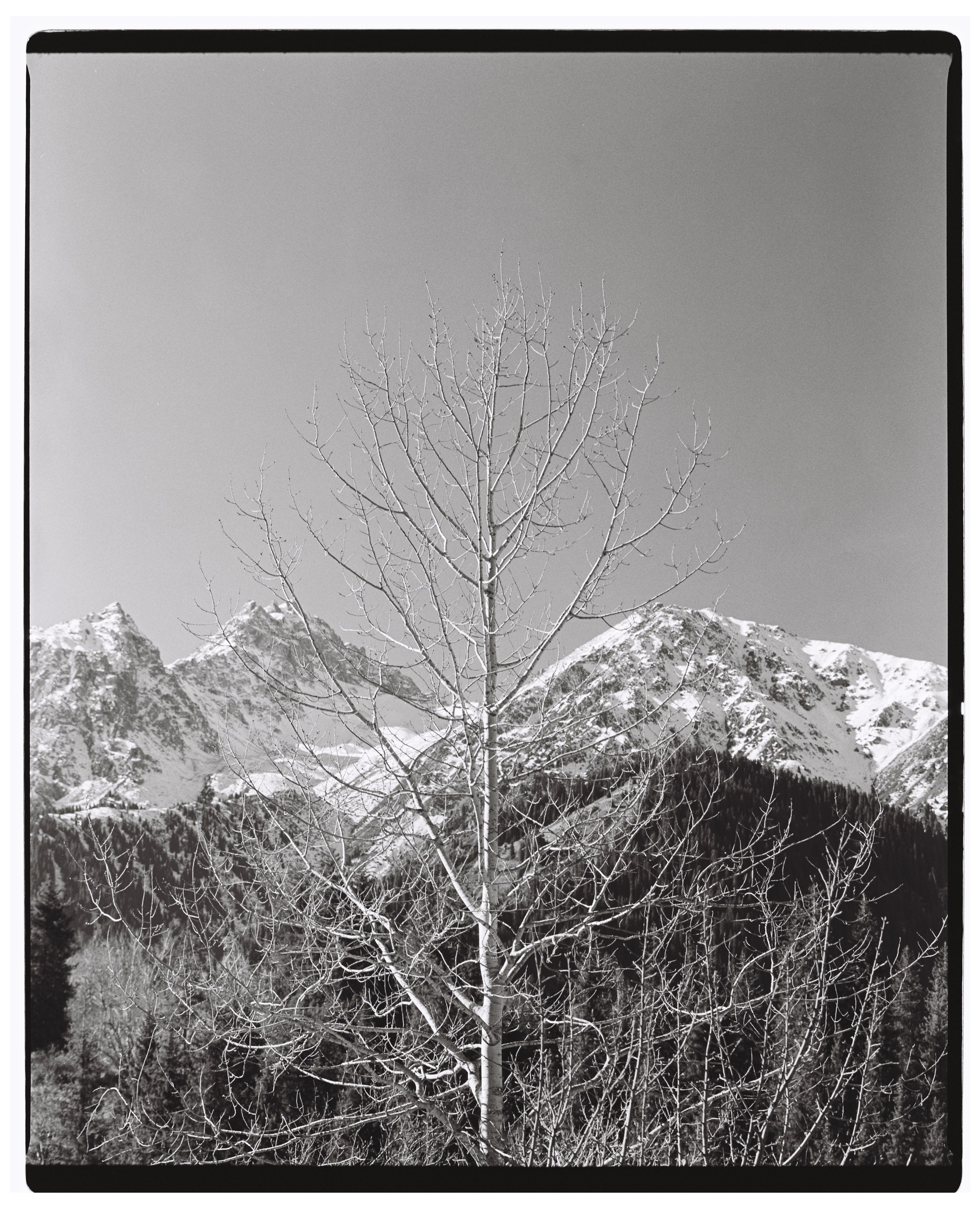 Almaty. Philipp Yelistratov