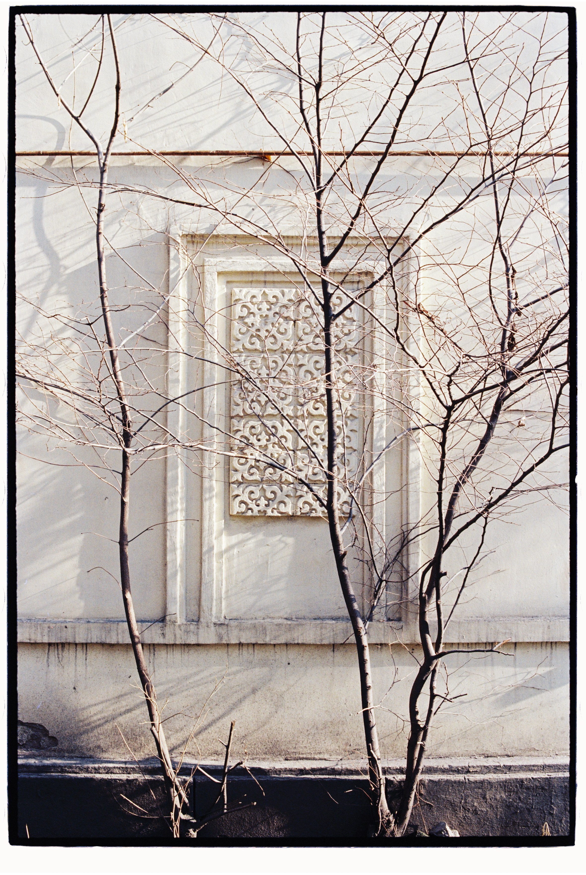 Almaty. Philipp Yelistratov