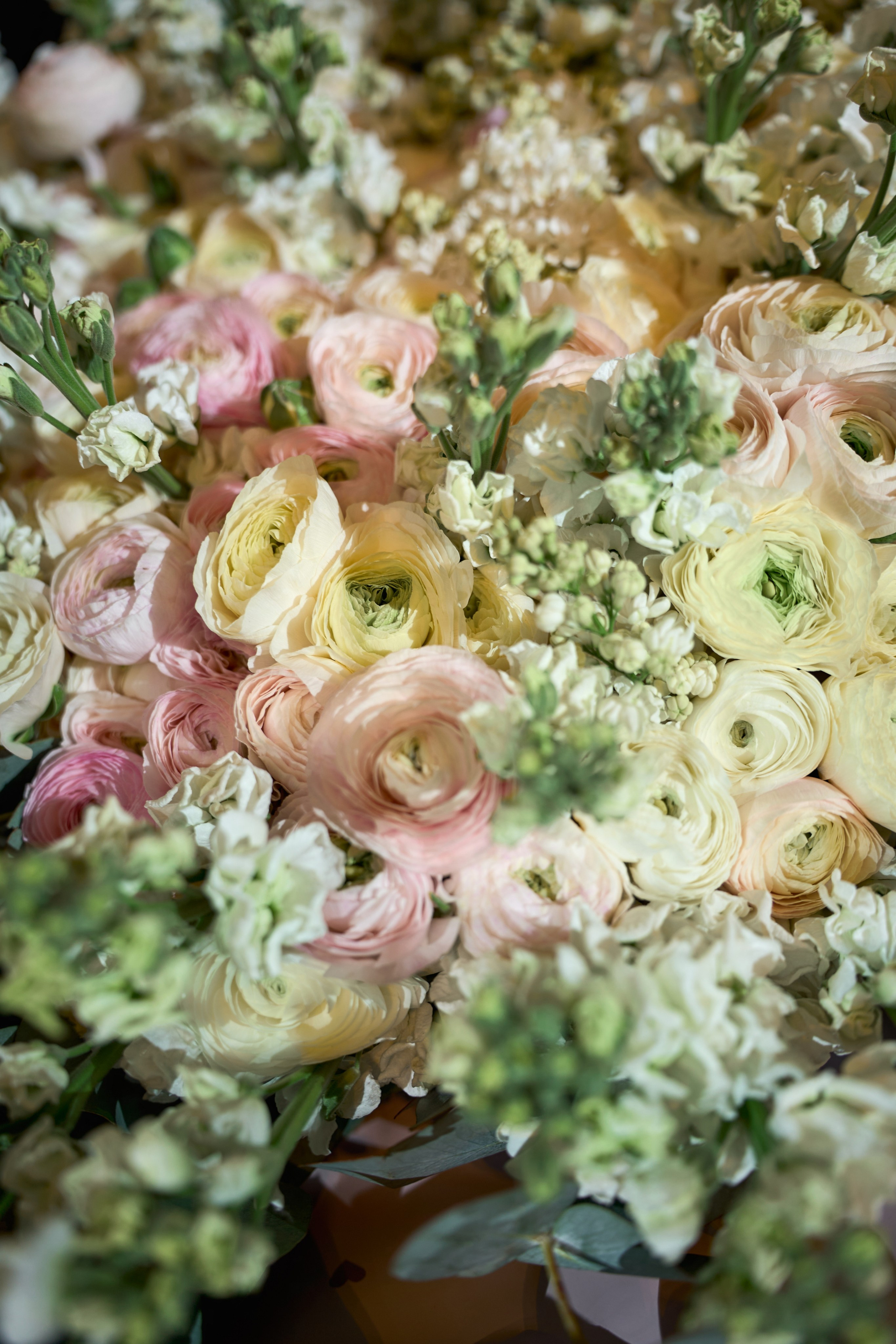 Красивое и чувственное сватовство Рафаэля & Алины в GOLDEN PALACE от ТВИНС СТУДИО. ТВИНС СТУДИО — лучшие свадебные фотографы и видеографы в Краснодаре