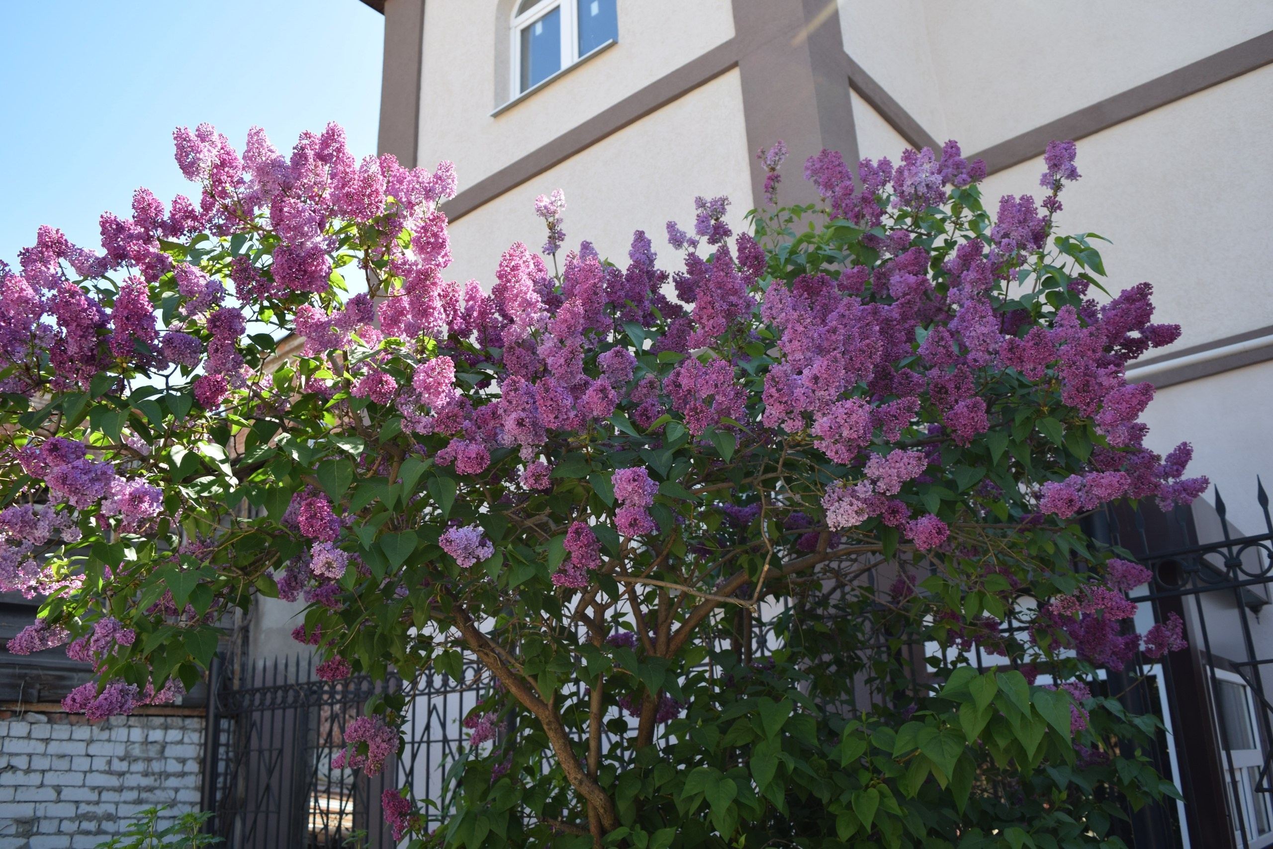 Самара. Экскурсионная поездка | 2023. Галерея Фантим