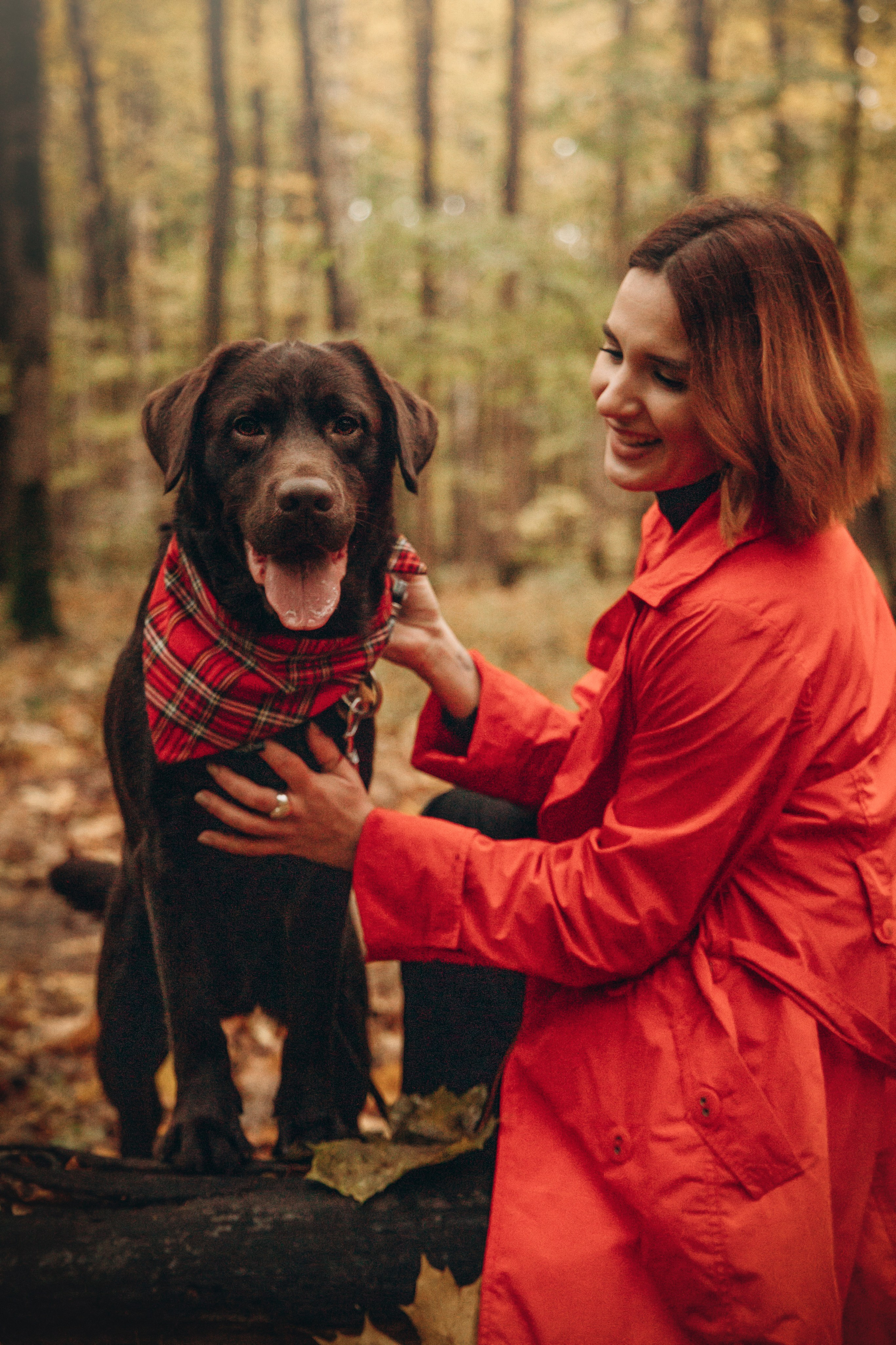 Арина и Сэмми. Фотограф — Анималист | Санкт-Петербург