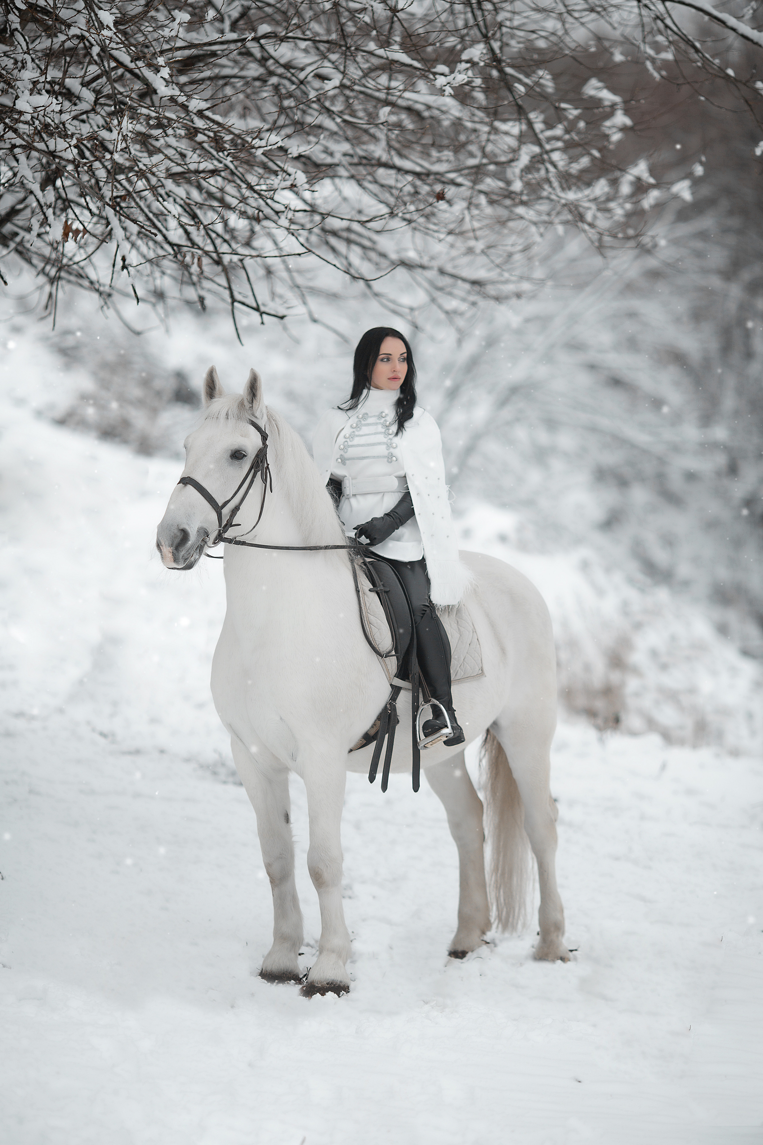 Образ для зимней съемки. Фотосессия с лошадьми в Нижнем Новгороде