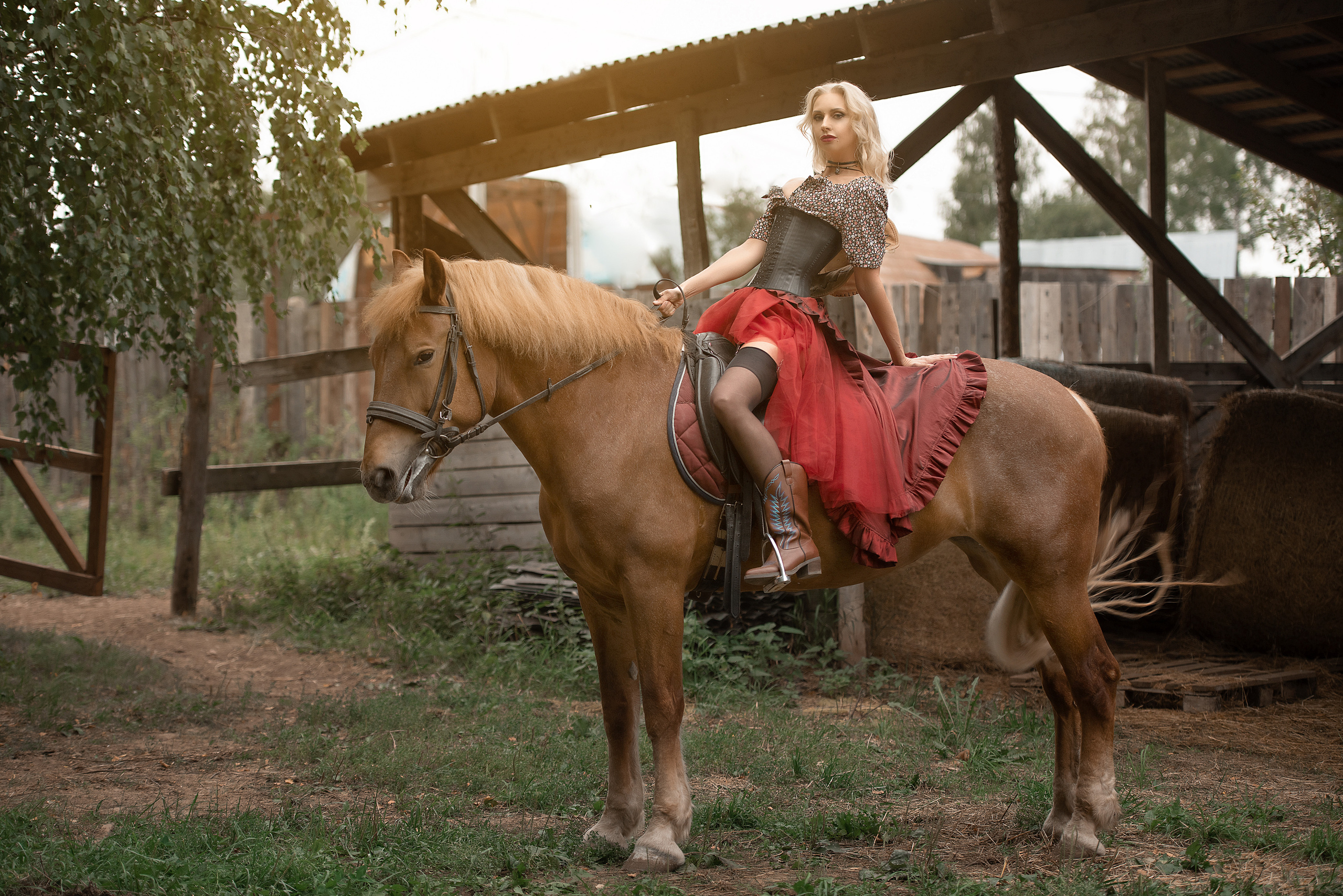 Наша фотосессия с Радугой и Монетой. Фотосессия с лошадьми в Нижнем Новгороде