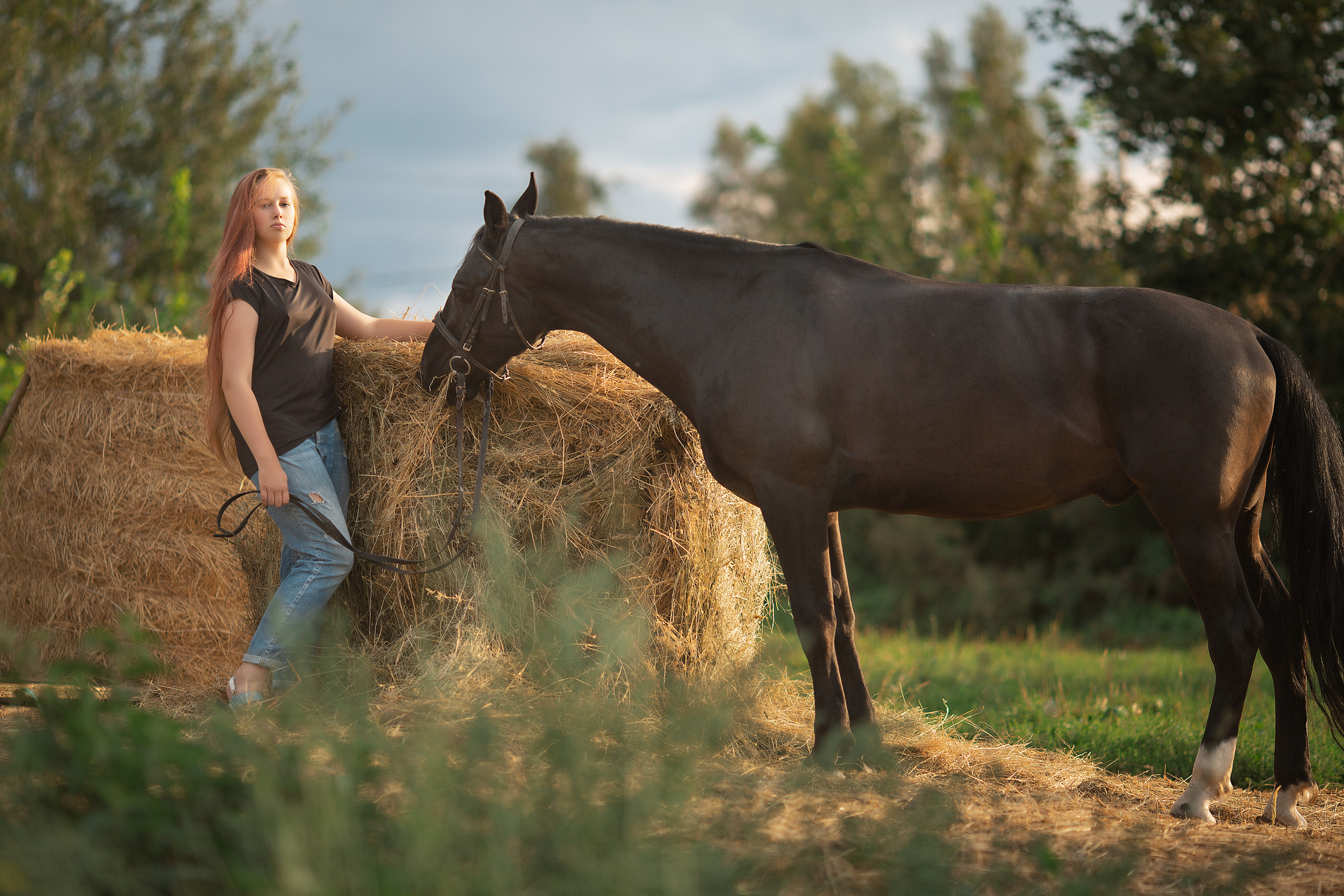 Фотосессия Насти и Барса. Фотосессия с лошадьми в Нижнем Новгороде