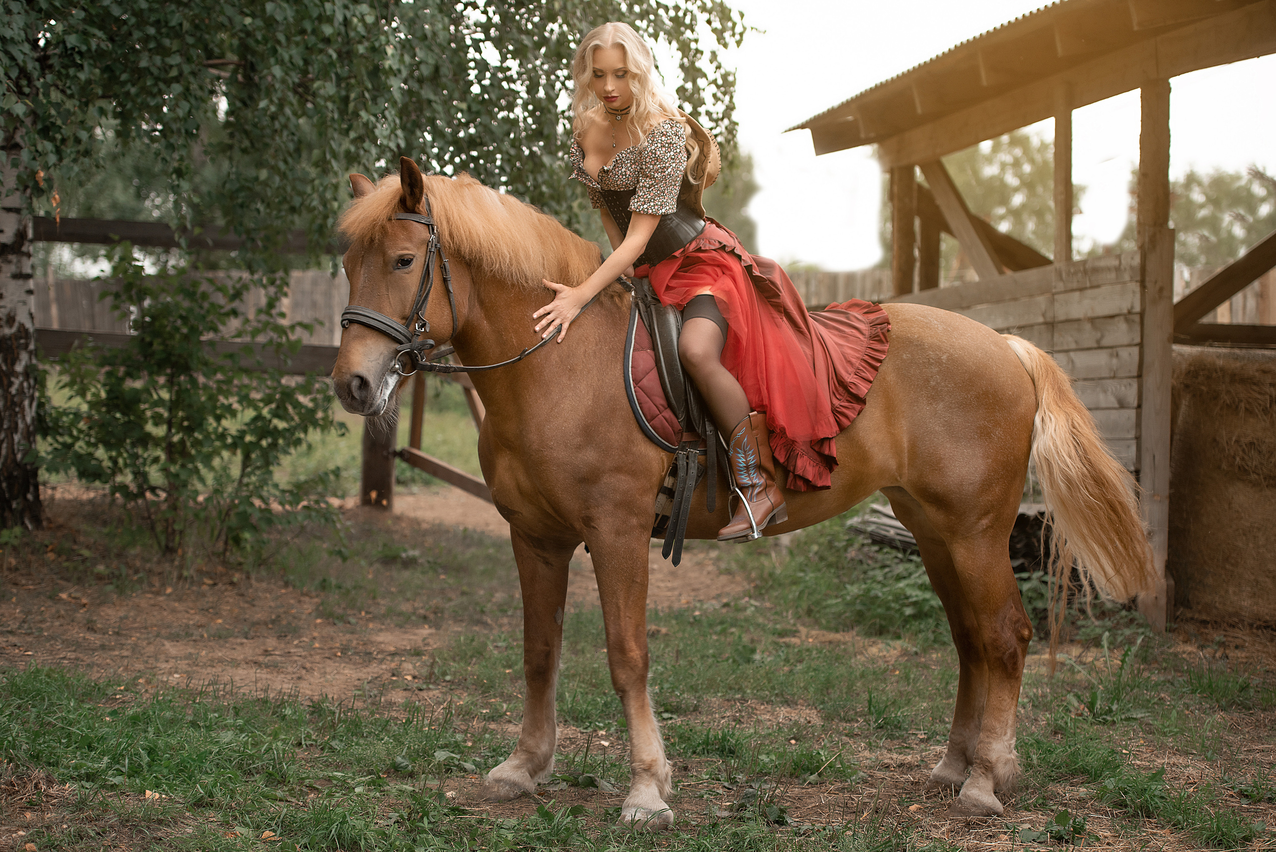 Наша фотосессия с Радугой и Монетой. Фотосессия с лошадьми в Нижнем Новгороде