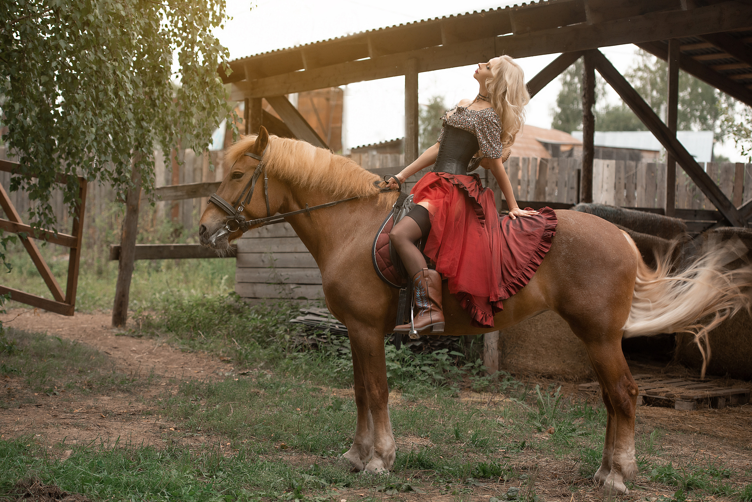 Наша фотосессия с Радугой и Монетой. Фотосессия с лошадьми в Нижнем Новгороде