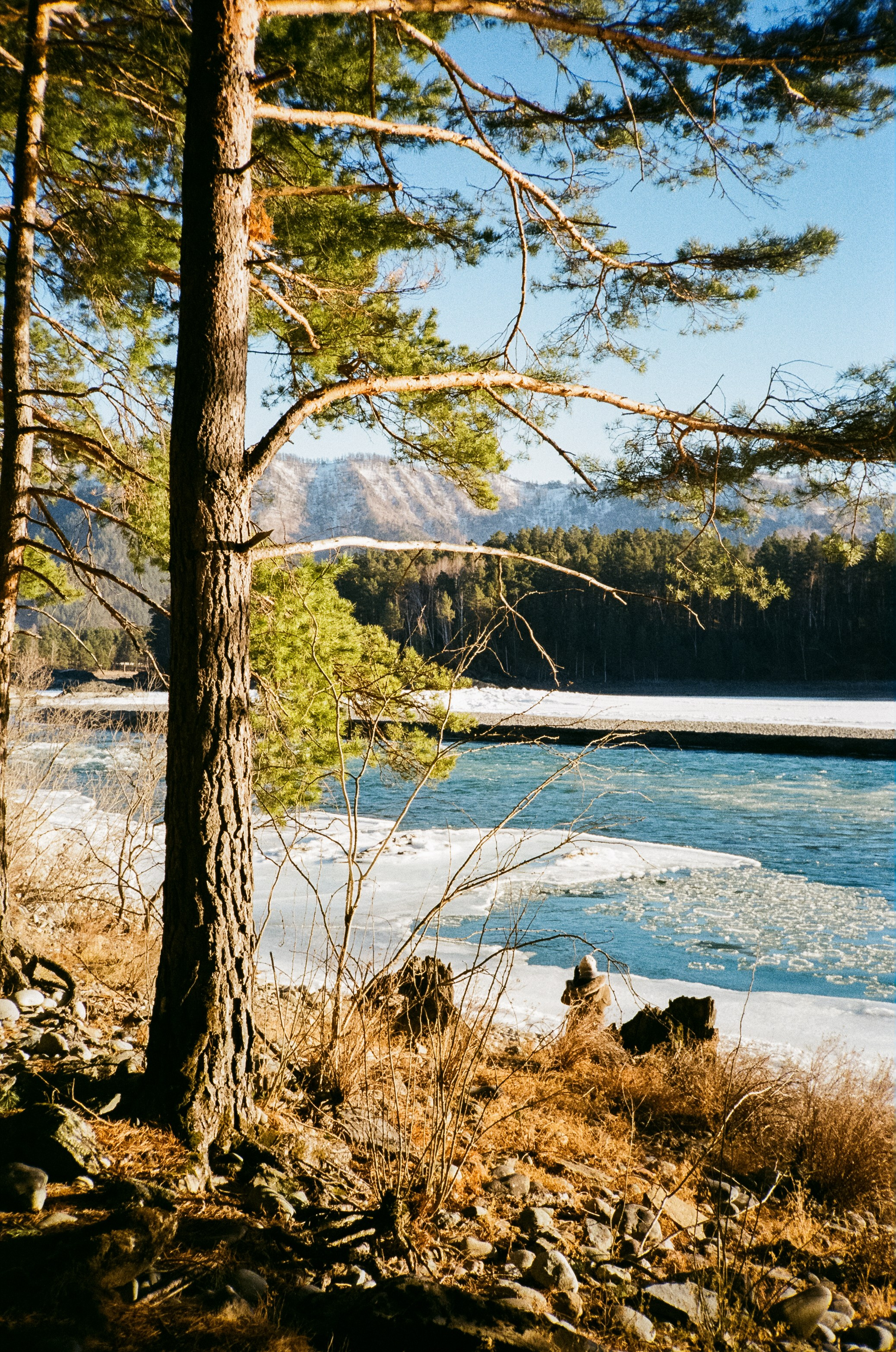 Olympus Mju II VS Chinon Auto 3001 — стоит ли переплачивать?!