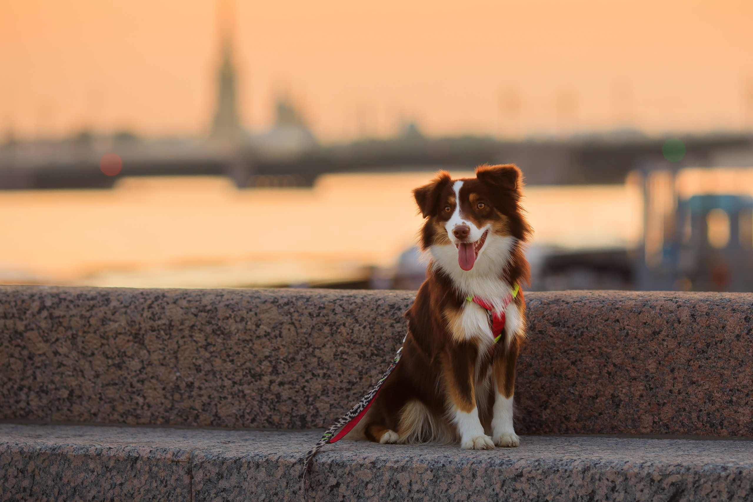Семейная съемка. Не просто красивые фотографии, а ваши лучшие кадры!
