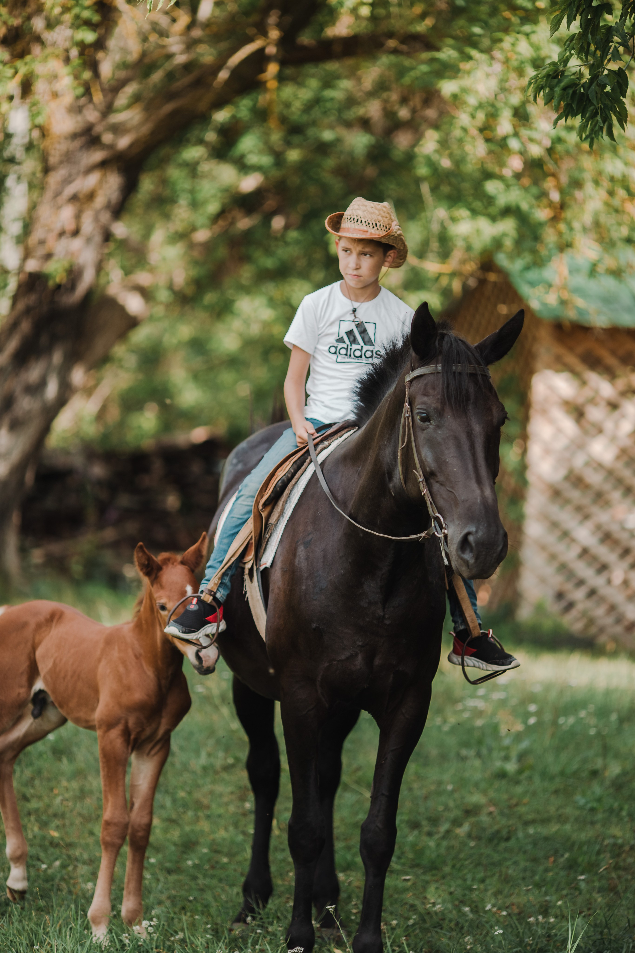 Семья на конной ферме. Свадебный и семейный фотограф Екатерина Бубнова