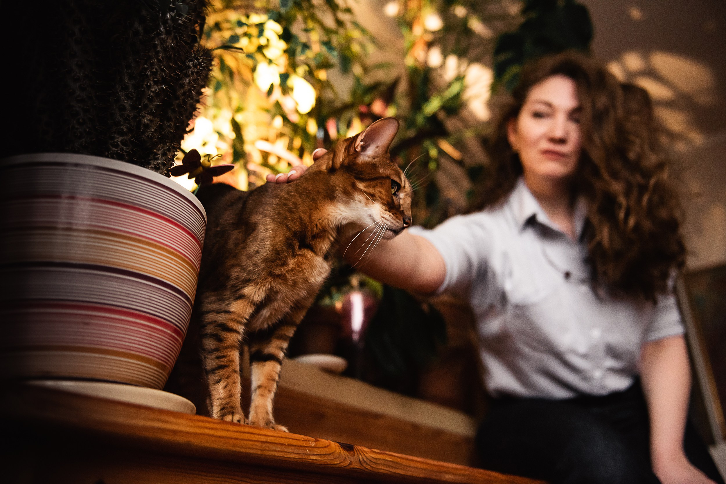 Квартира с картинами. Алиса, Андрей и их пушистая семья. Семейный Фотограф в Москве Ирина Хохлова