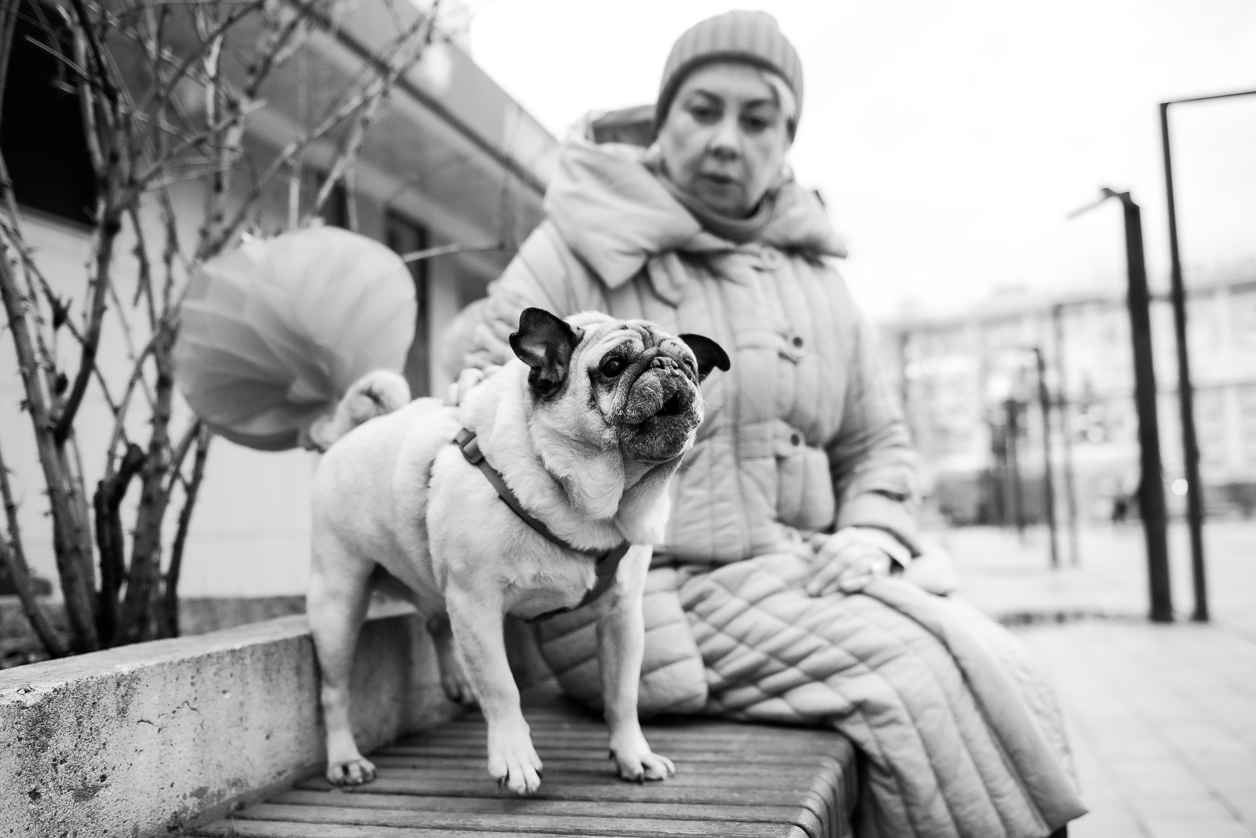 Ольга и Потапум. Прогулка к чайному дому. Семейный Фотограф в Москве Ирина Хохлова