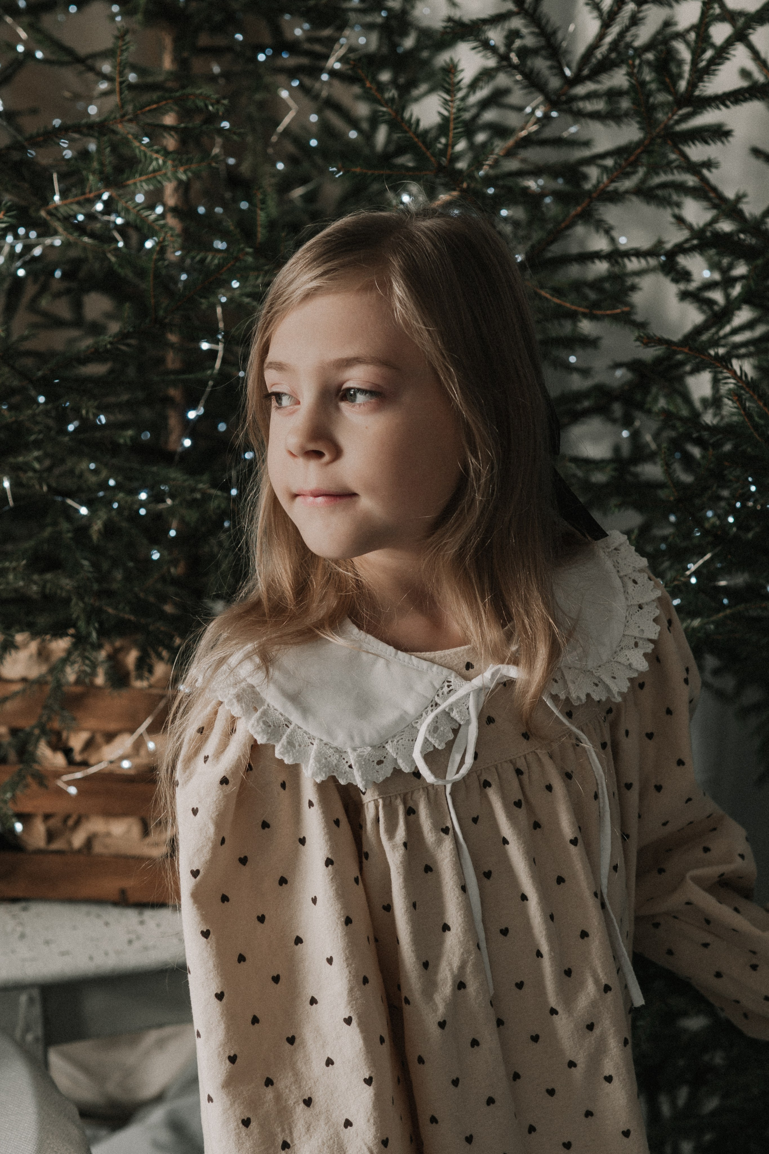 Новогодняя. Портретный фотограф Павлова Светлана / Брянск /