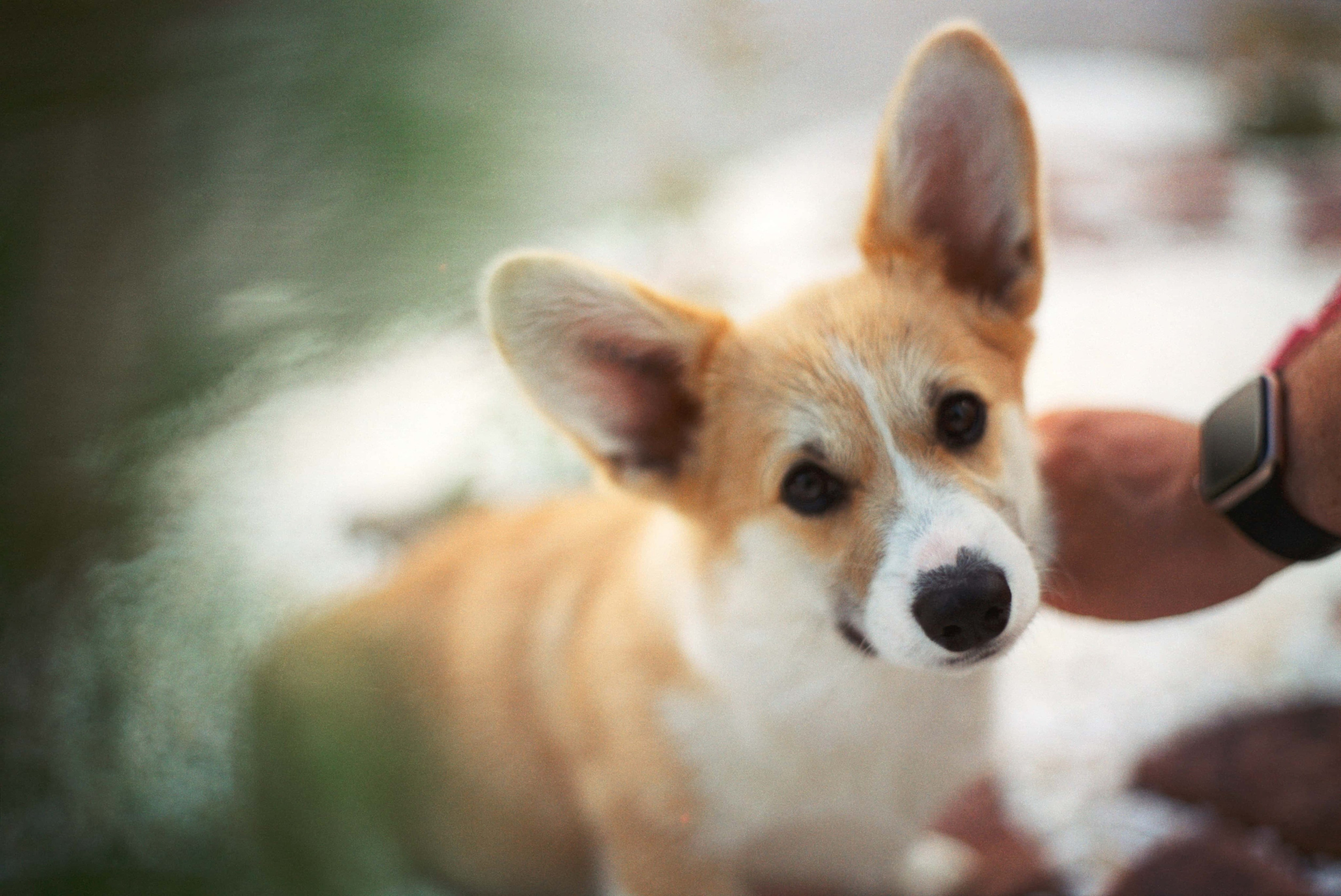 E&V&G. Stylist and film photographer Anastasia Shlokova