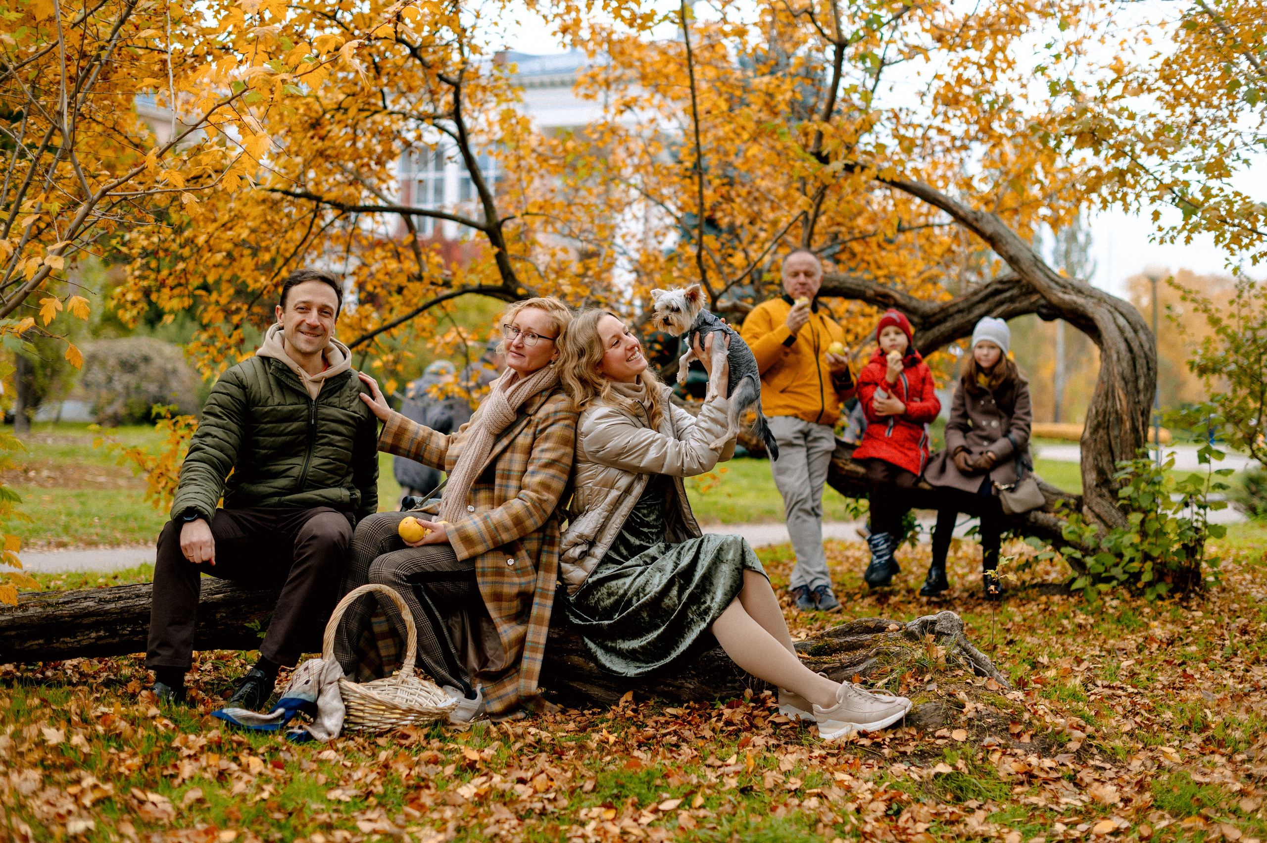 ОСЕННИЙ БОТСАД. Шашкова Вероника / Свадебный и семейный фотограф Москва и Ярославль