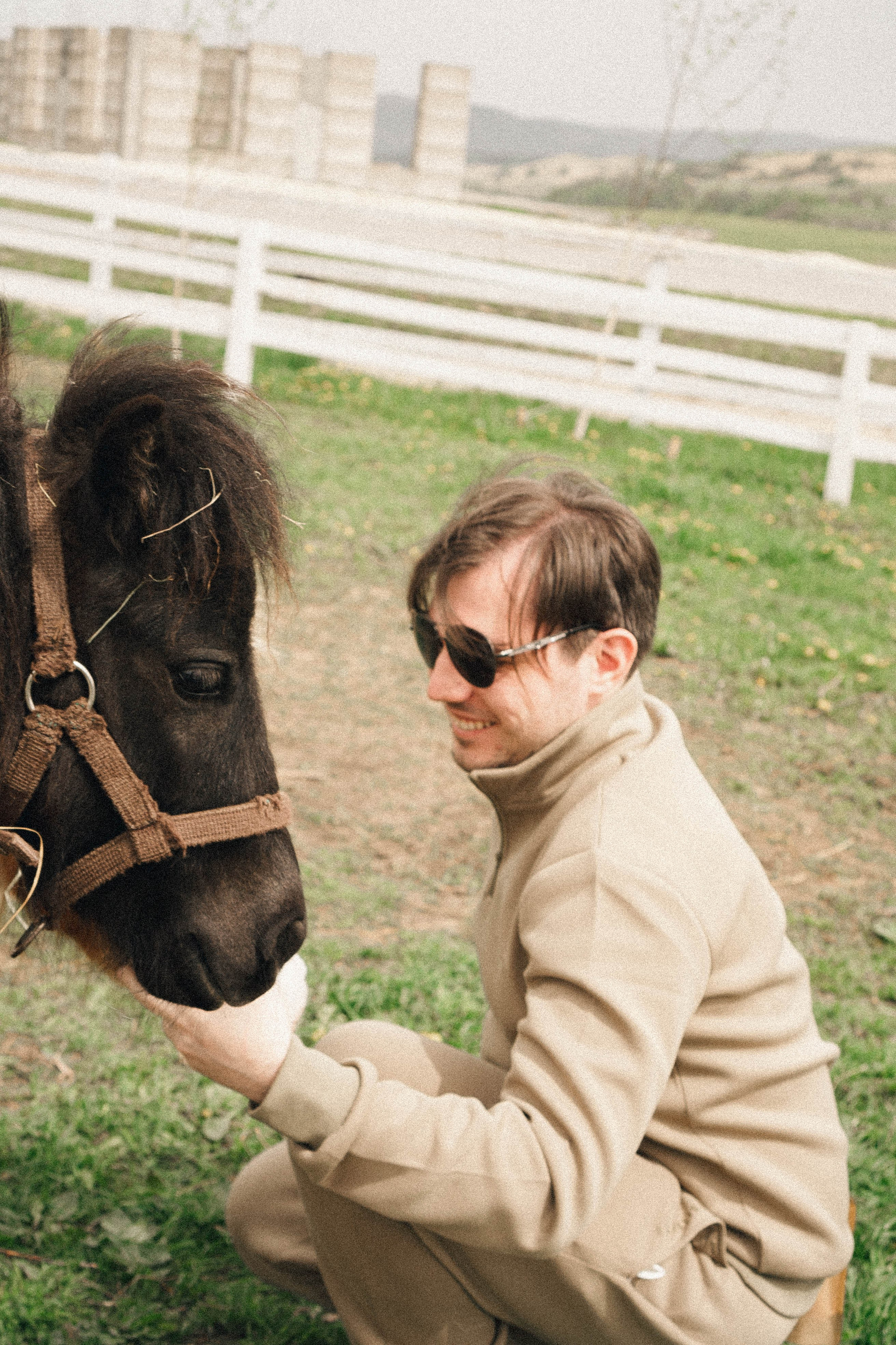 Ферма Альпак. Профессиональный фотограф, Санкт-Петербург — Виктория Богомолова