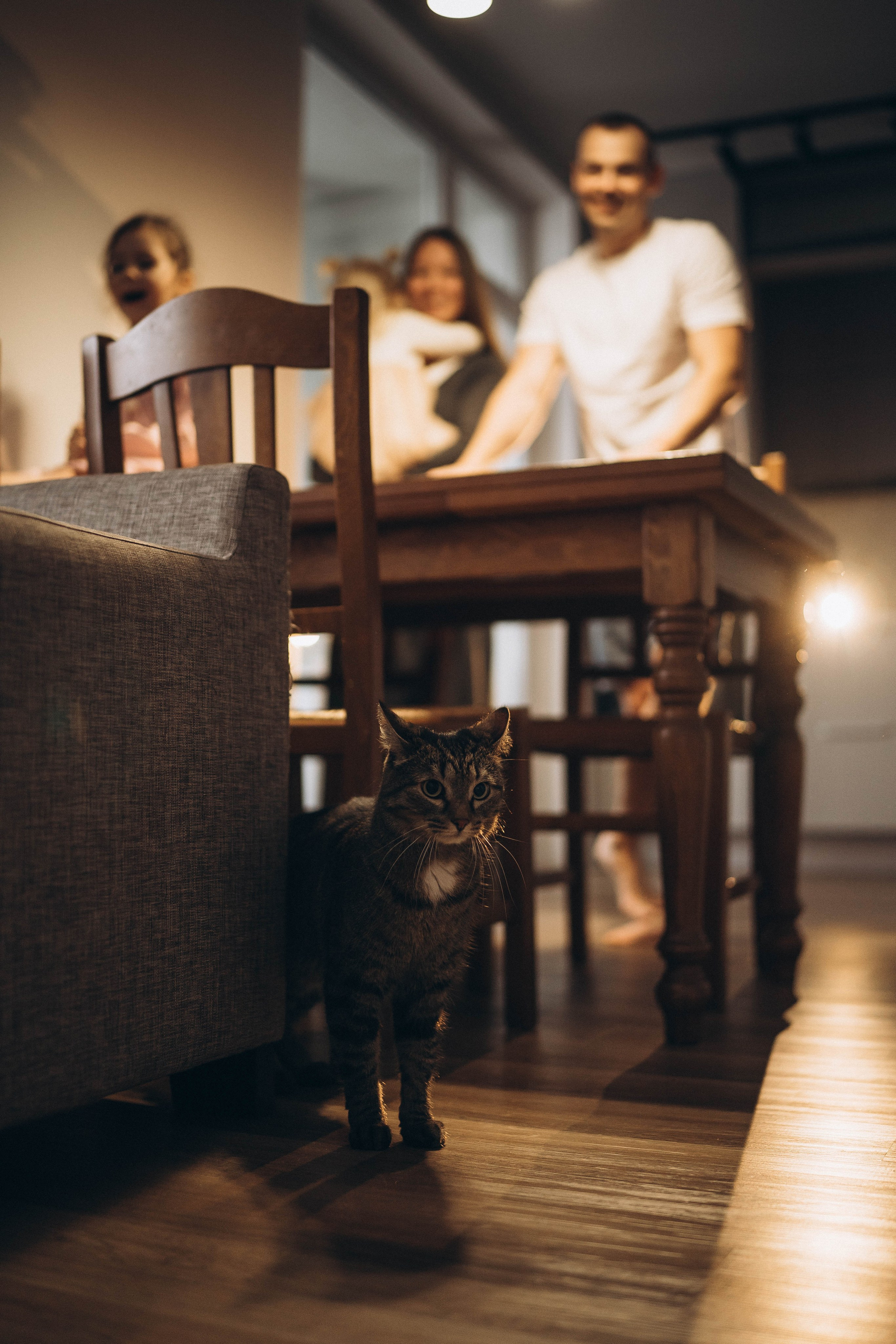 Семья Юлии ♥. Свадебный и семейный фотограф в Перми Дарья Алекс