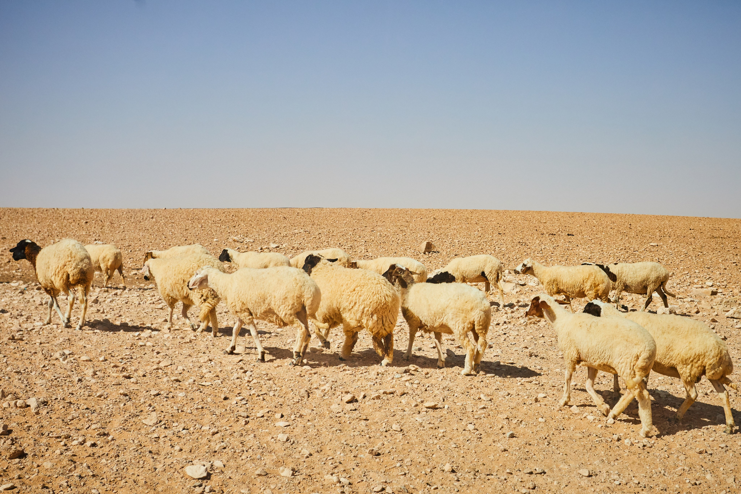 Тунис. Рекламный коммерческий фотограф в Москве Владимир Лукьянов