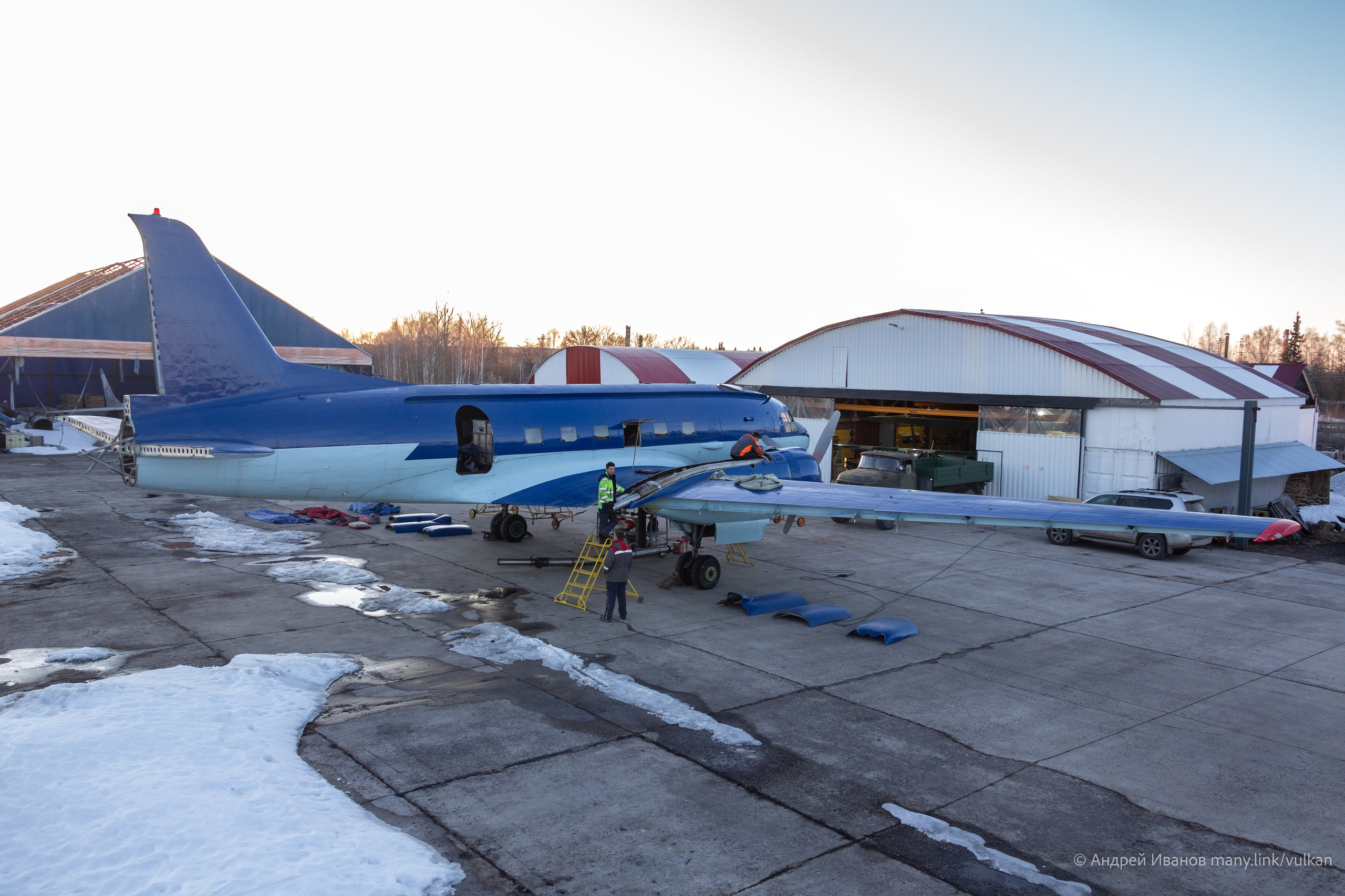 Ил-14Т «Голубая Мечта» (2026 г.). Фотоальбом показывающий увлекательный мир авиации и мир медведей Андрея Иванова